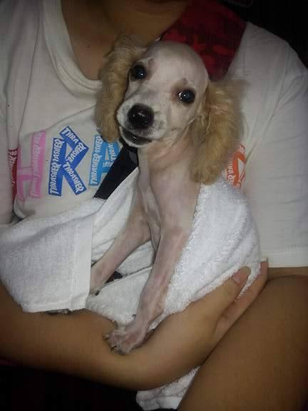 Question details sensitive content