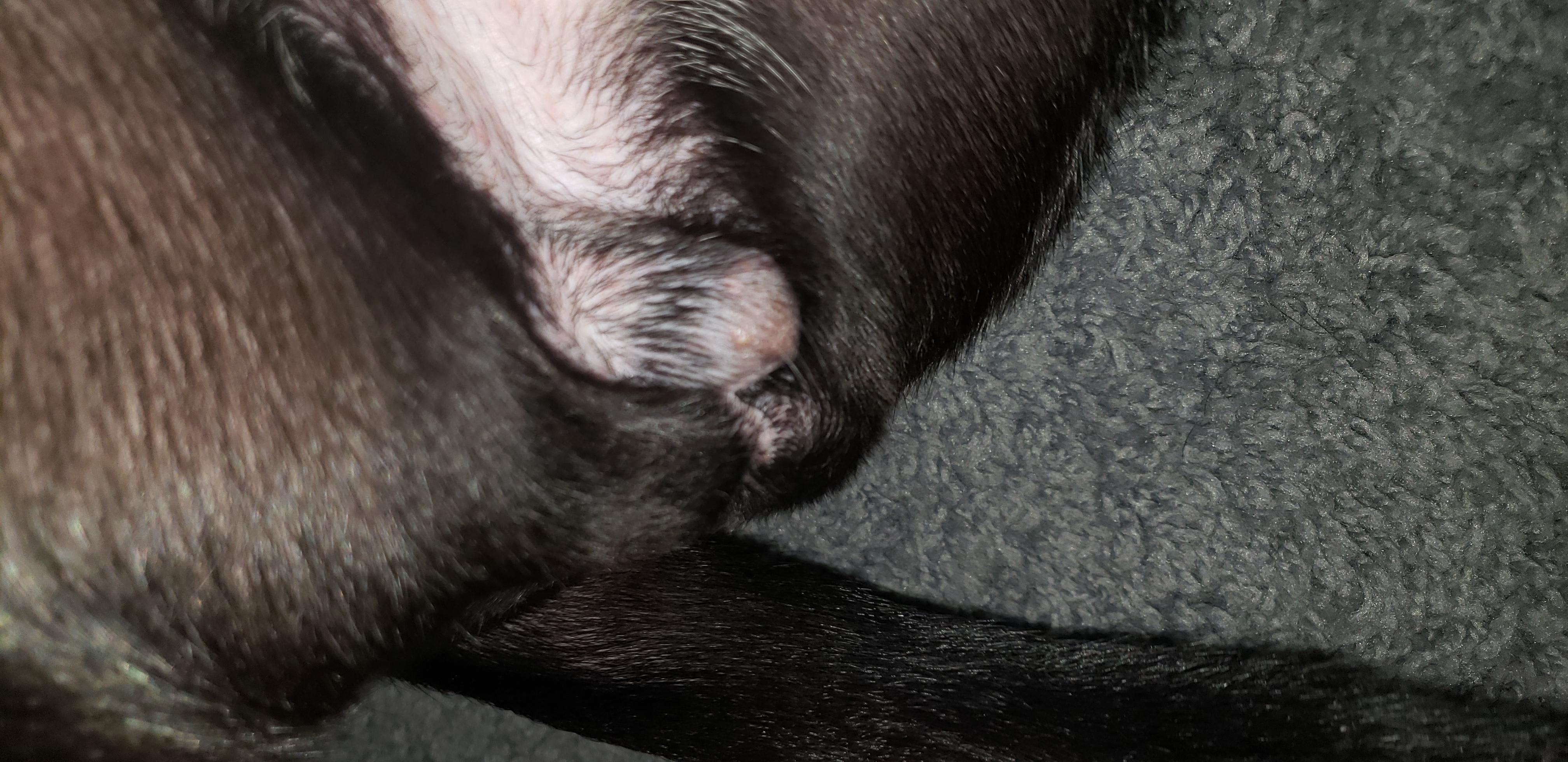 Question details sensitive content