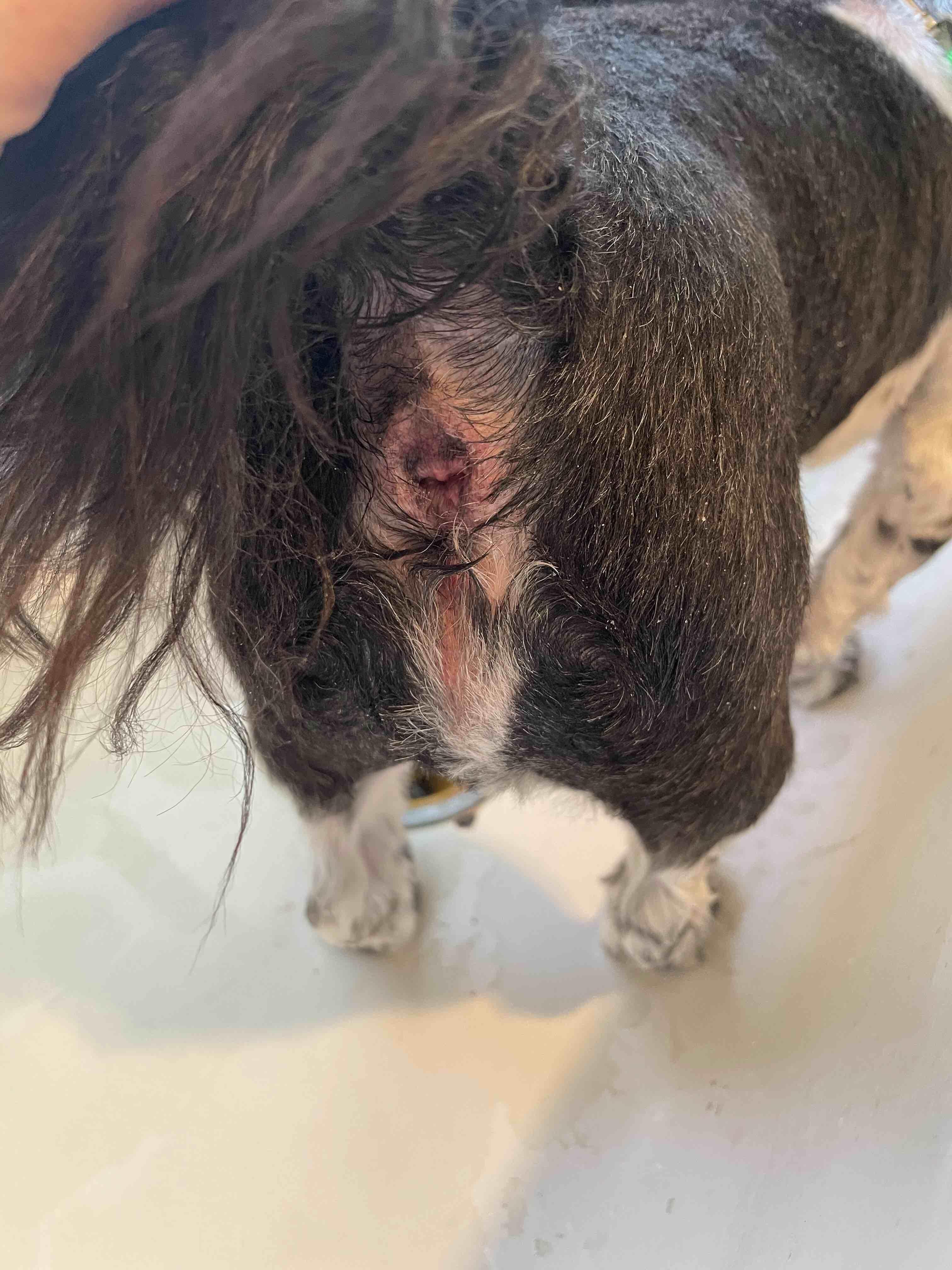 Question details sensitive content