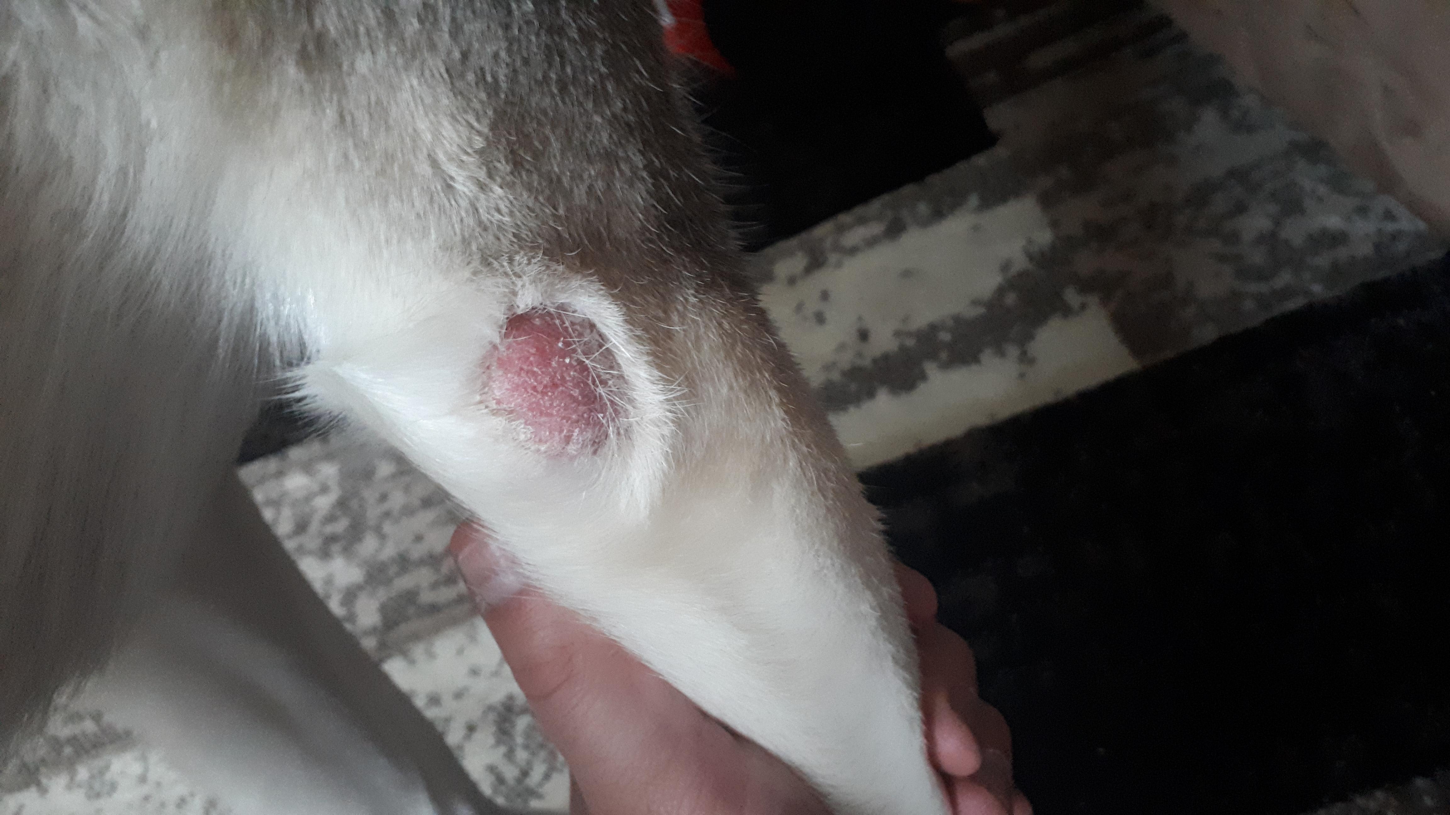 Question details sensitive content