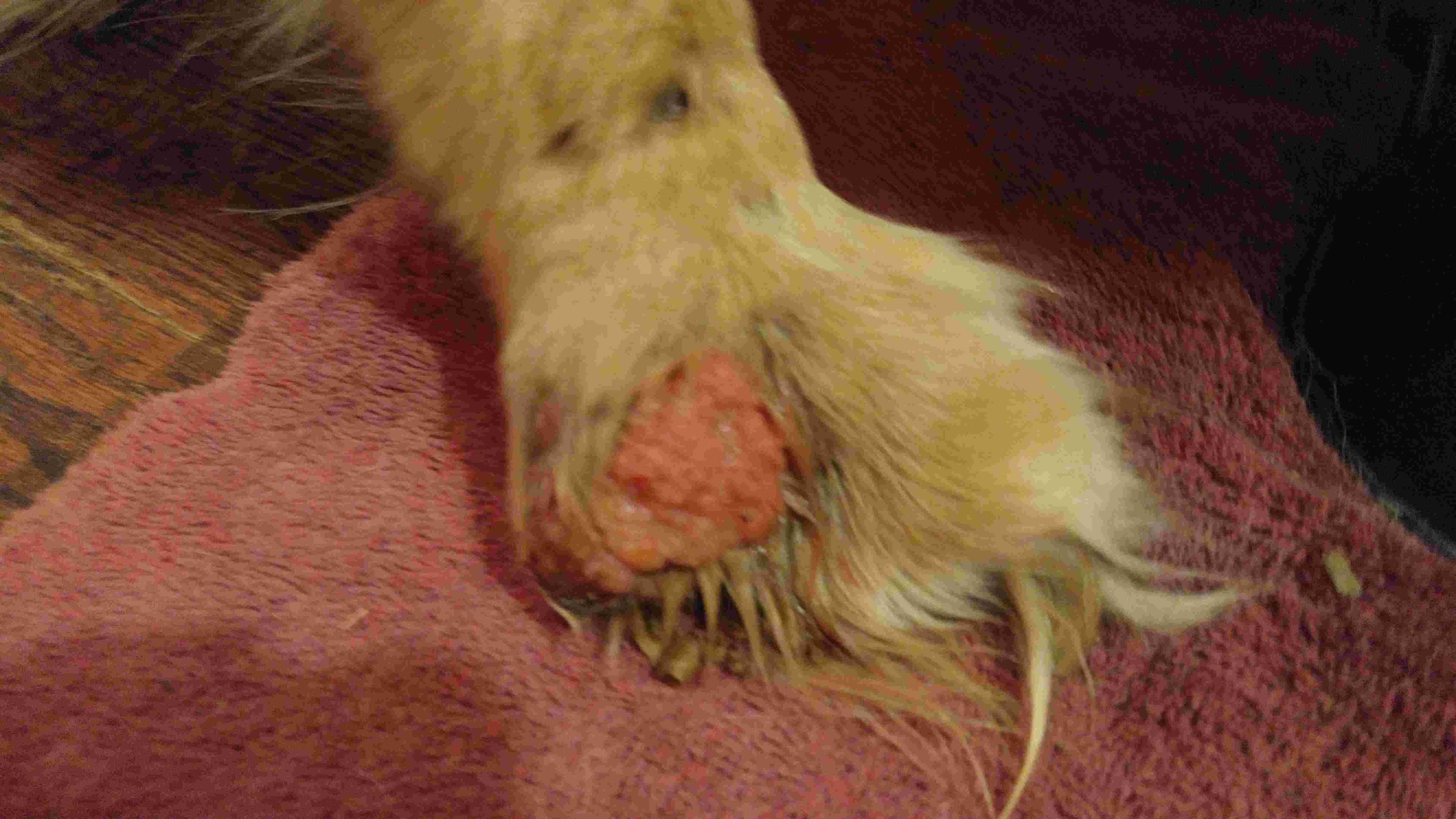 Question details sensitive content