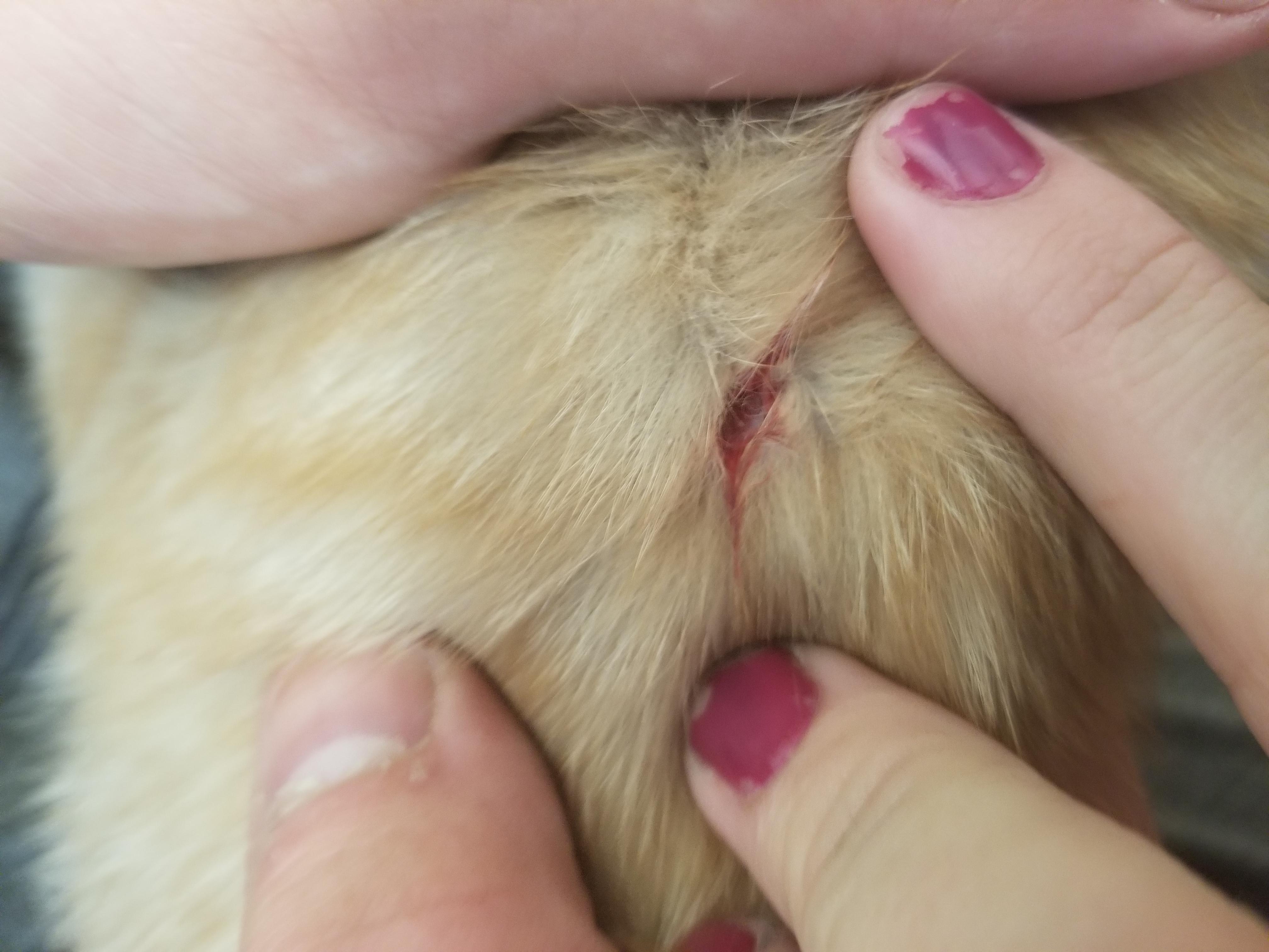 Question details sensitive content