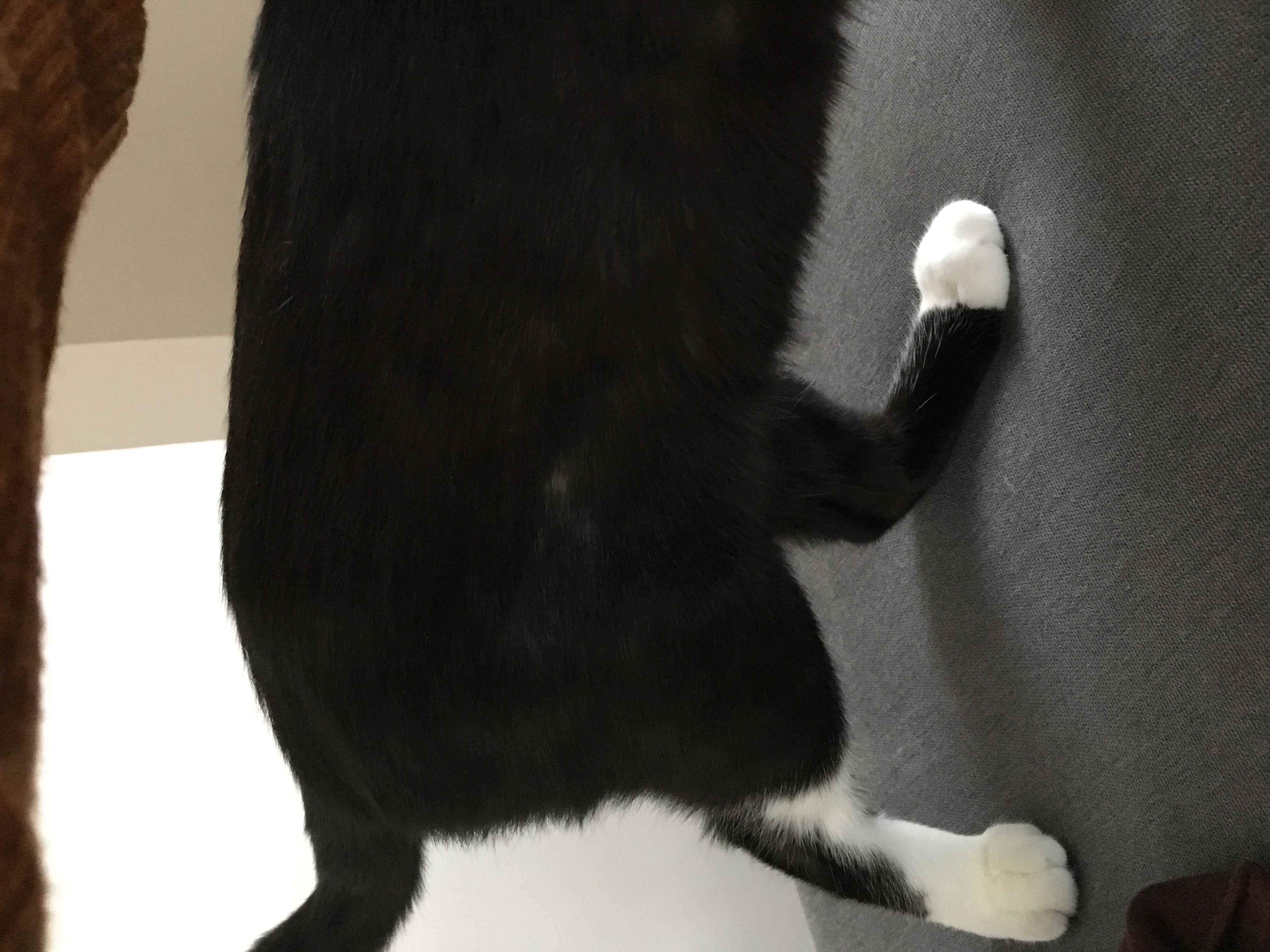 Question details sensitive content