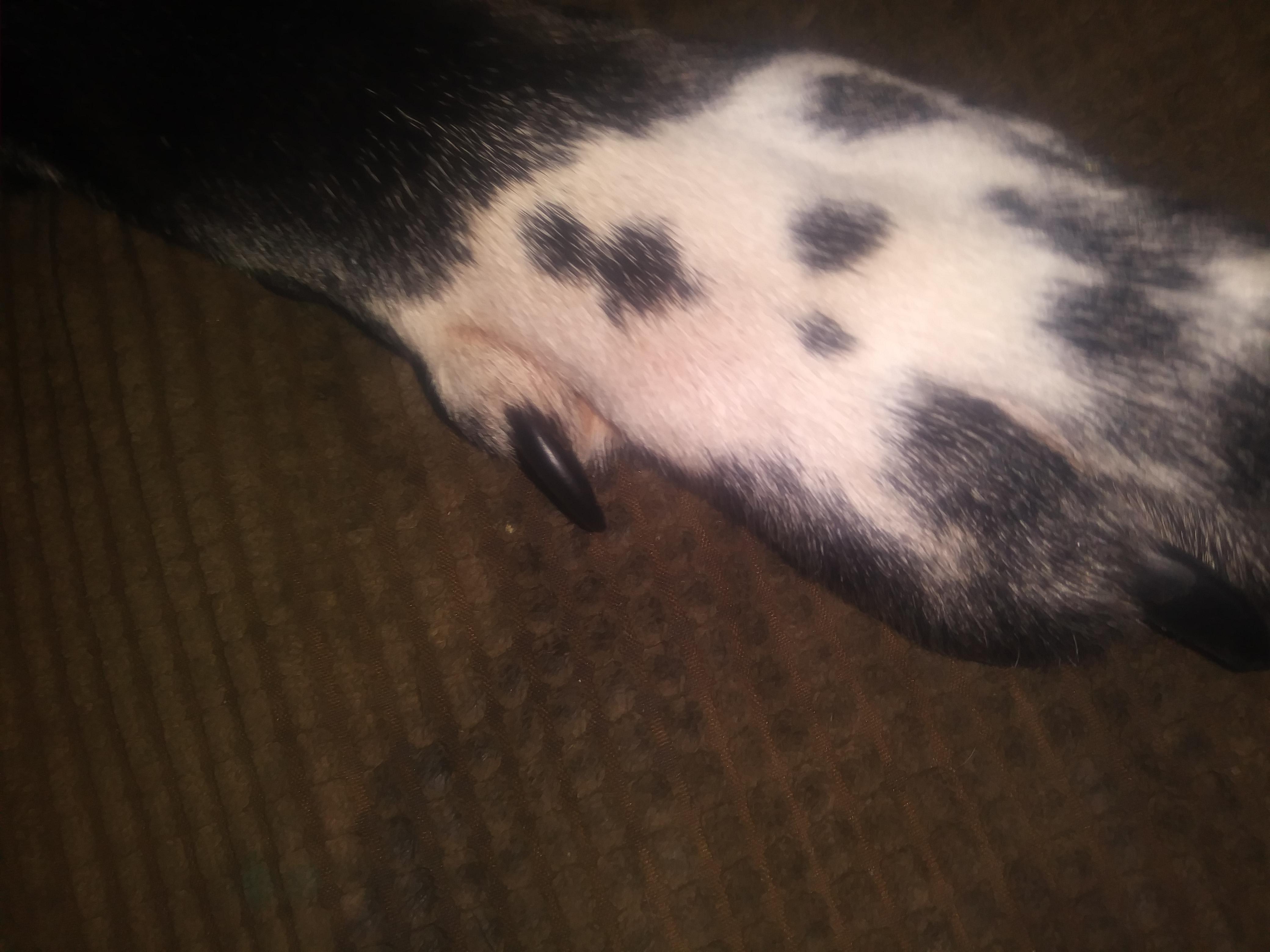 Question details sensitive content