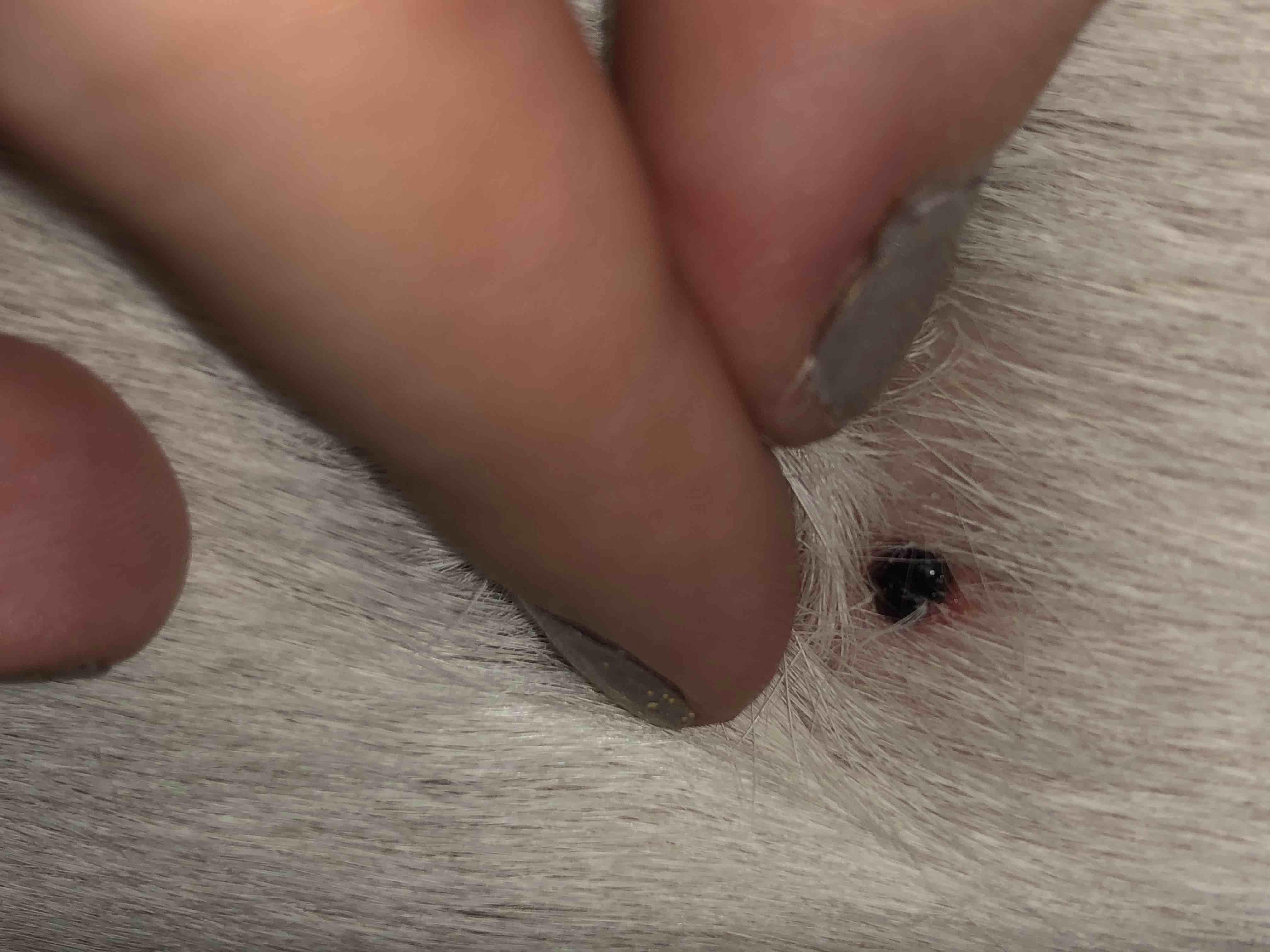 Question details sensitive content