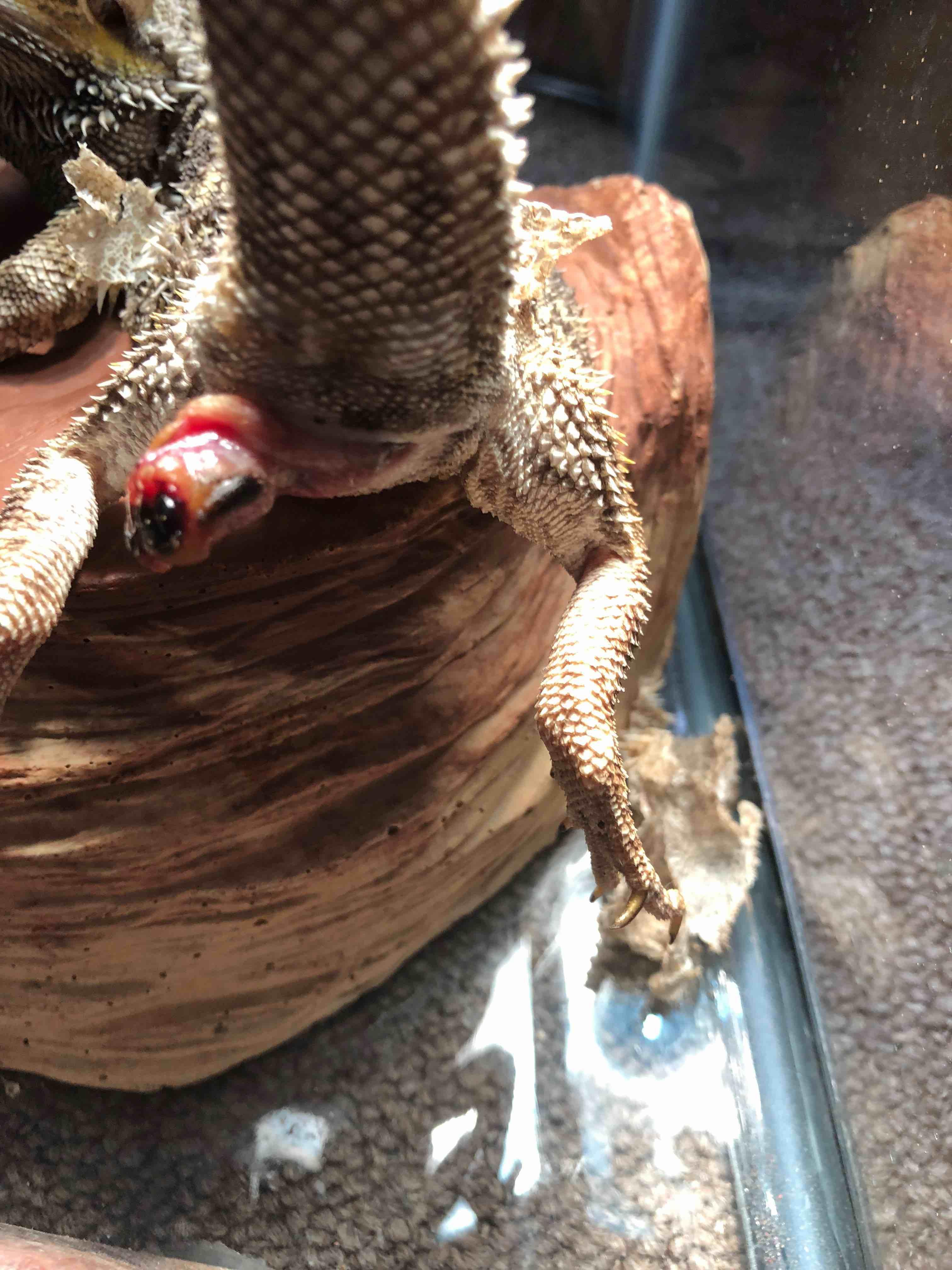 Question details sensitive content