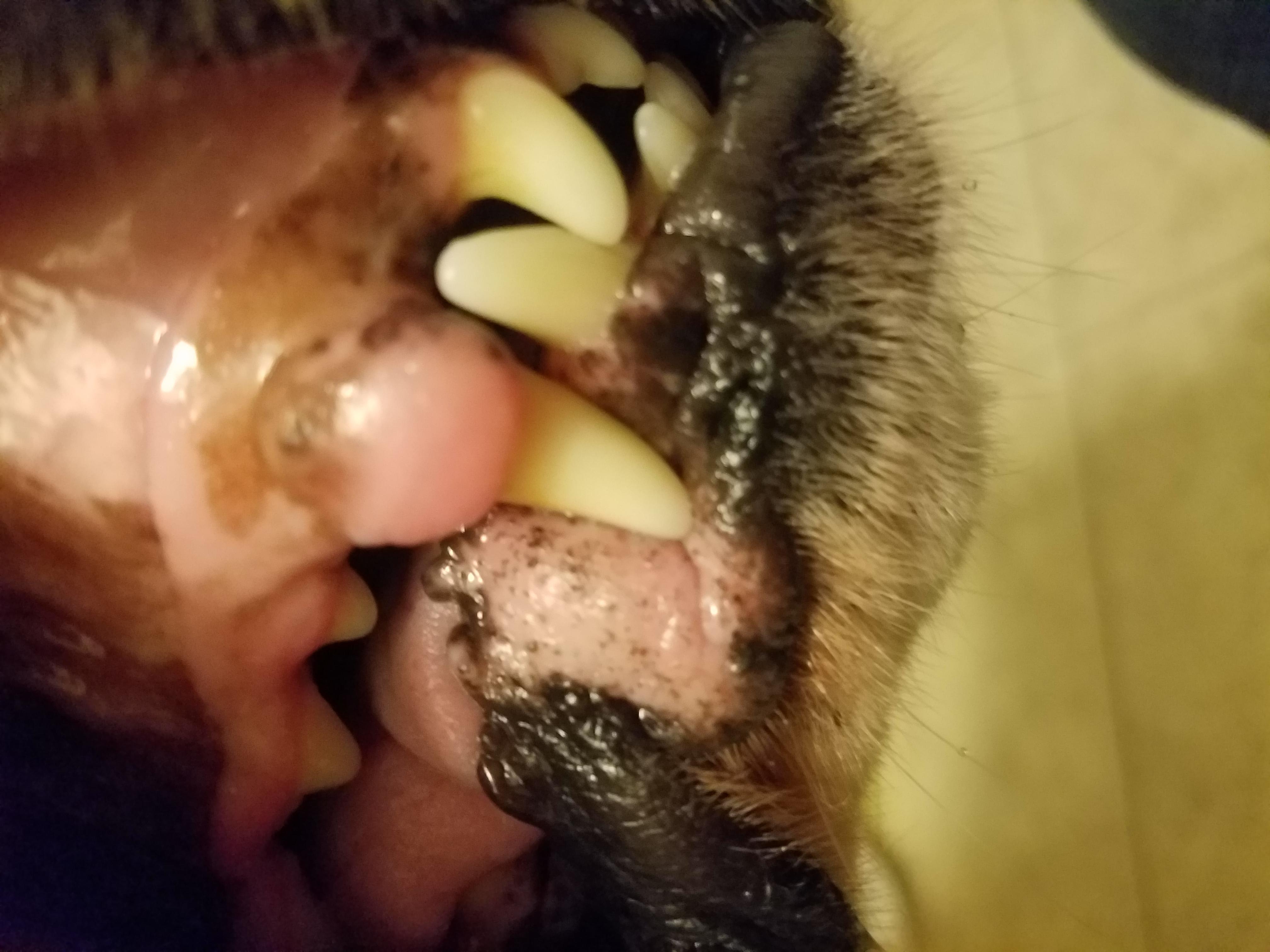 Question details sensitive content