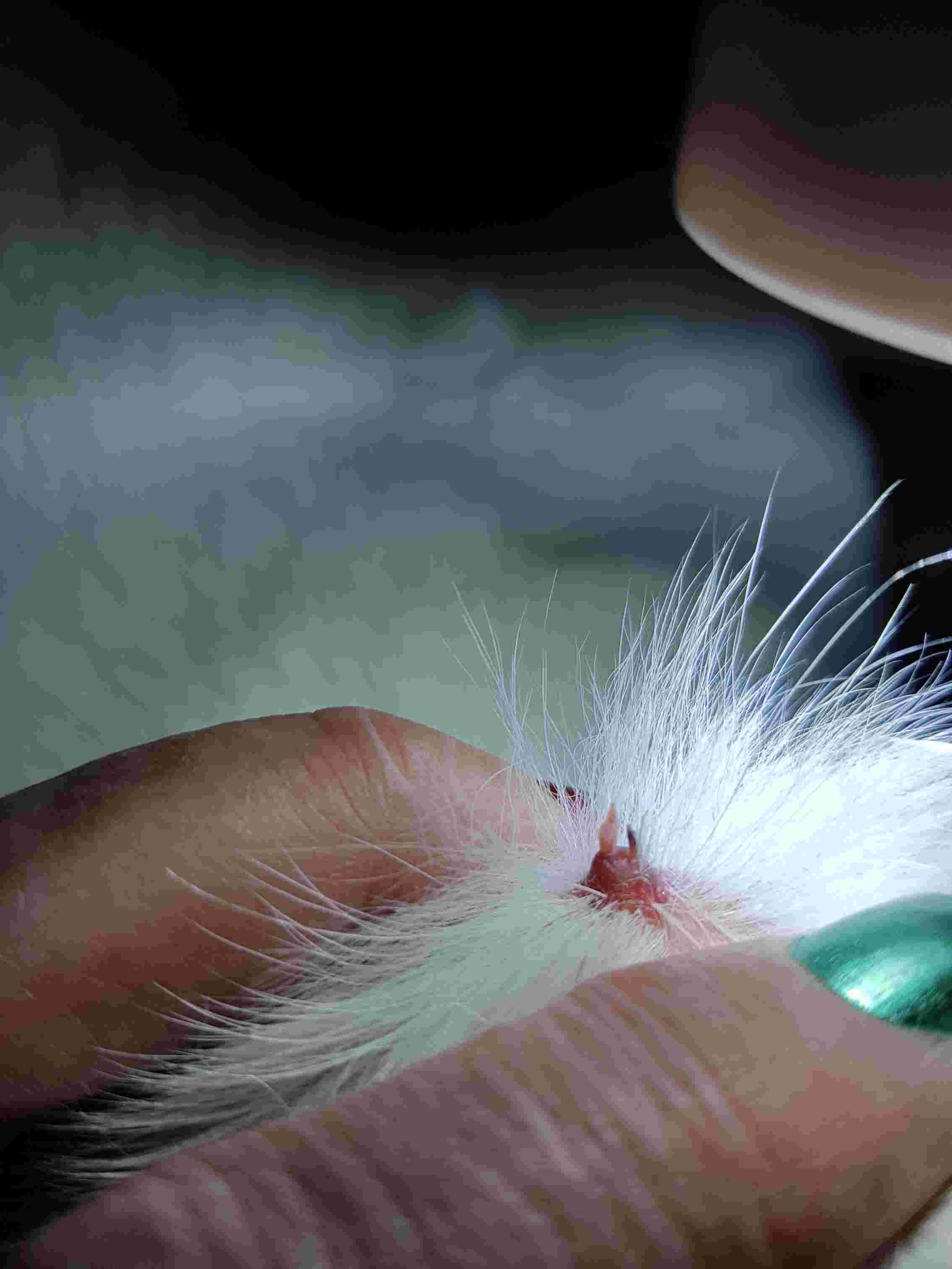 Question details sensitive content