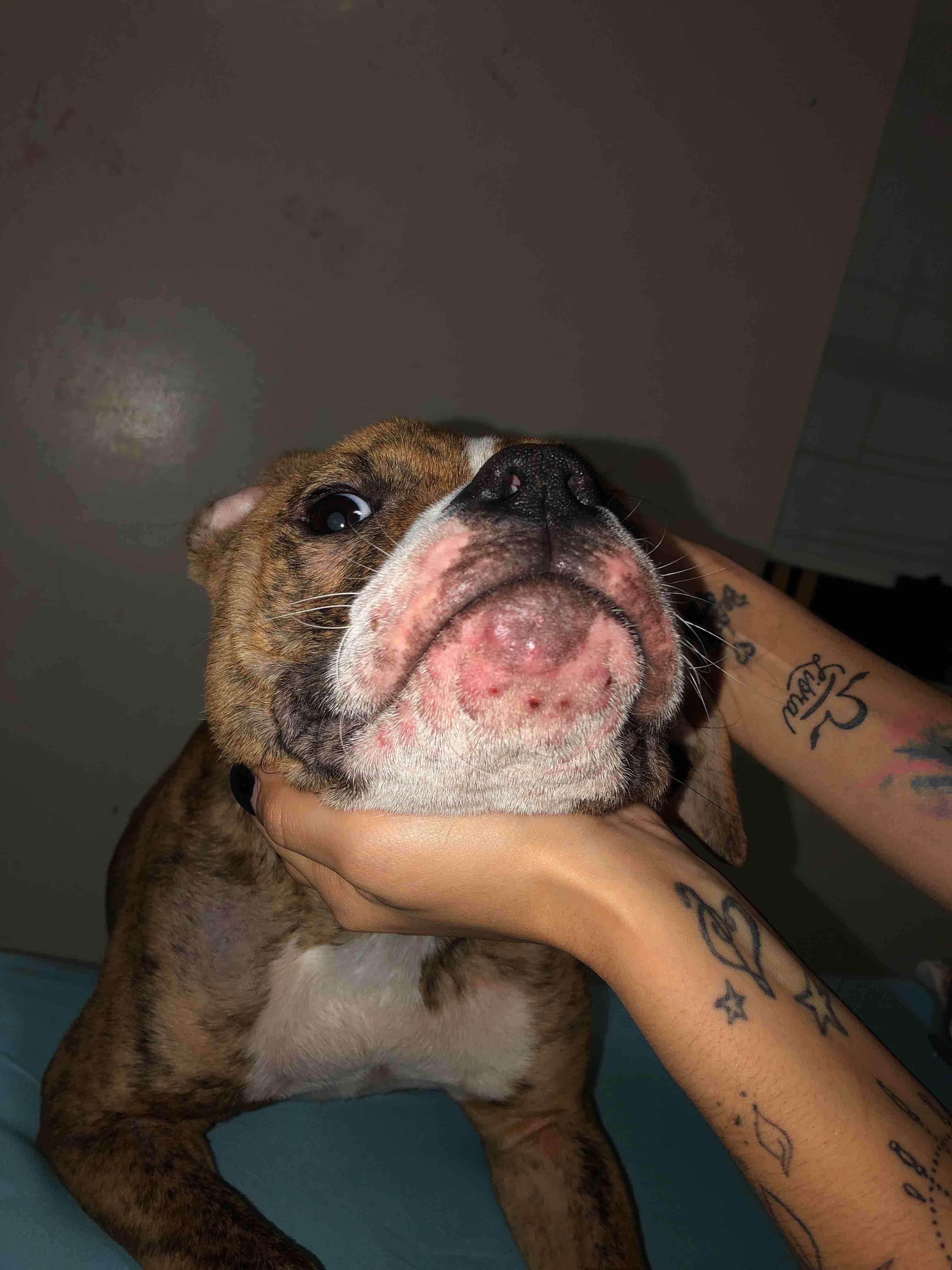 Question details sensitive content