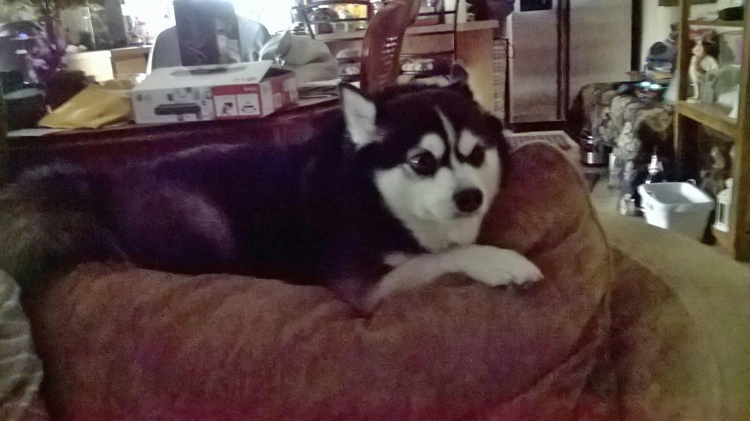 Question details sensitive content