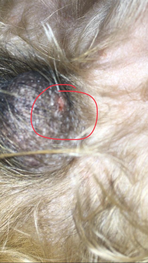 Question details sensitive content