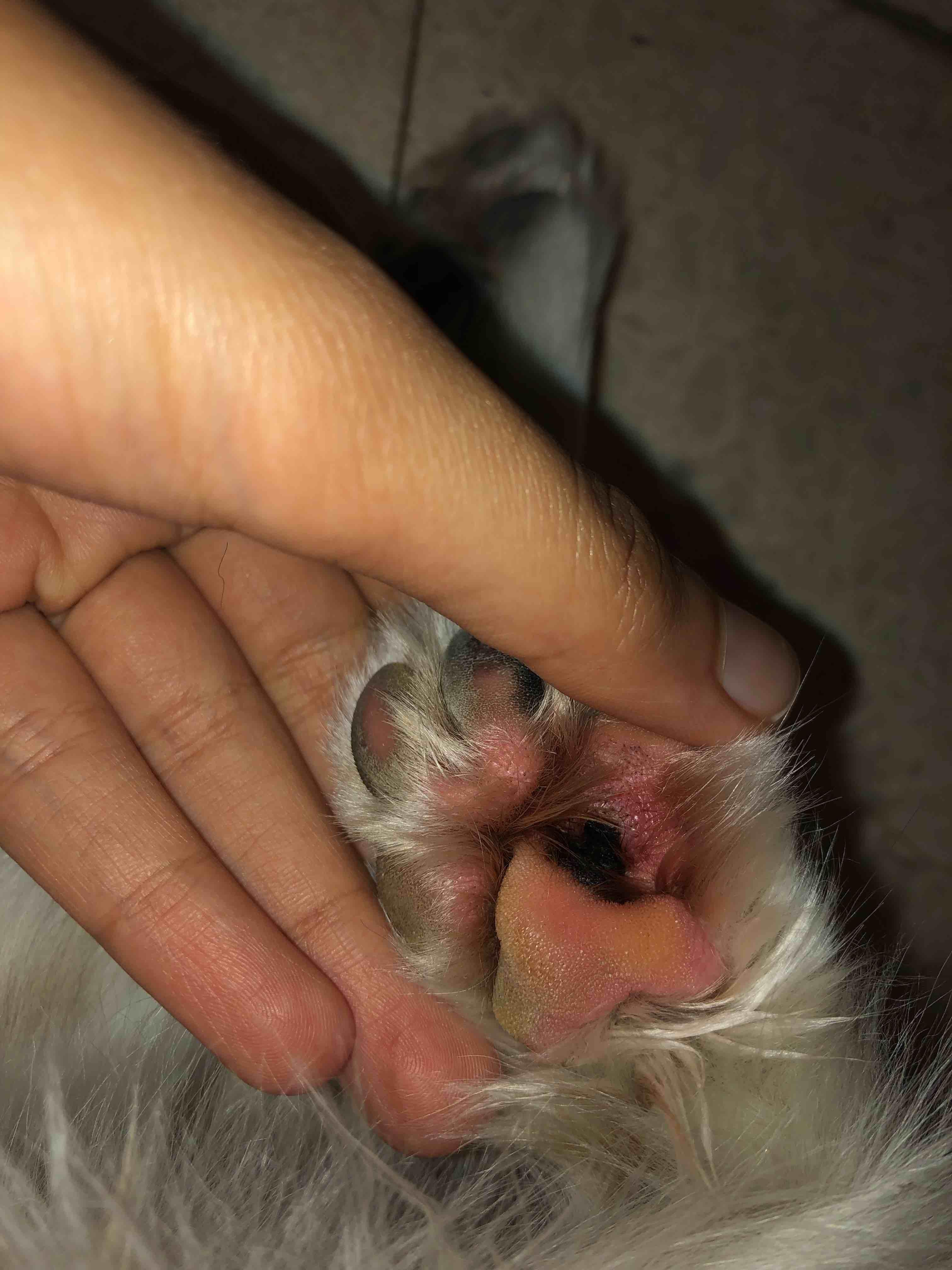 Question details sensitive content