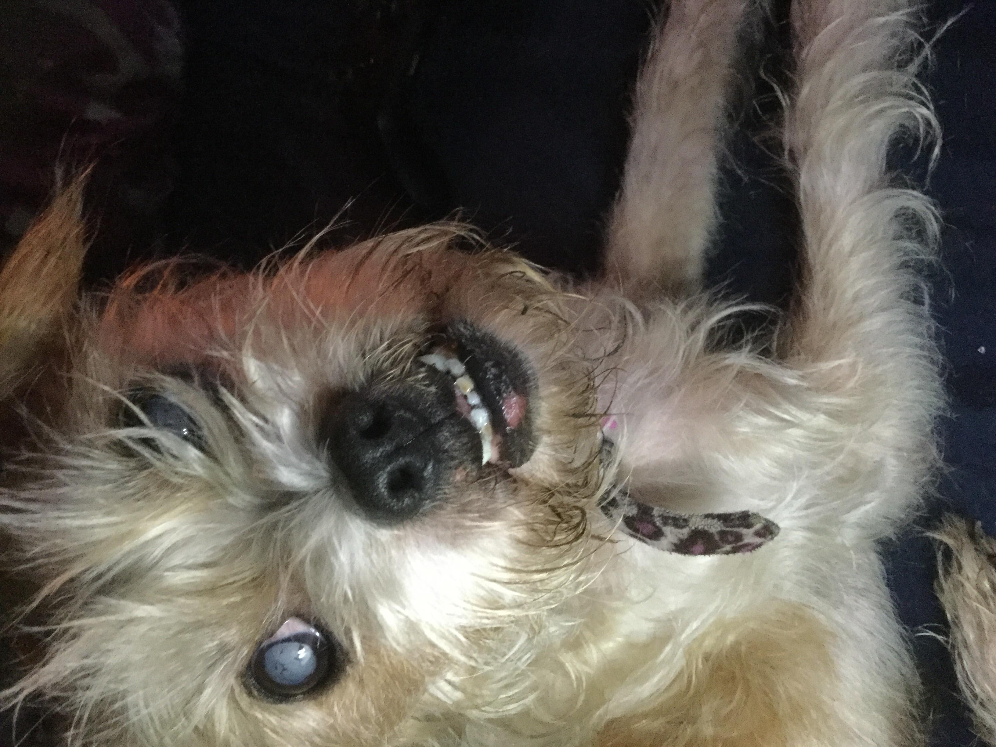 Question details sensitive content