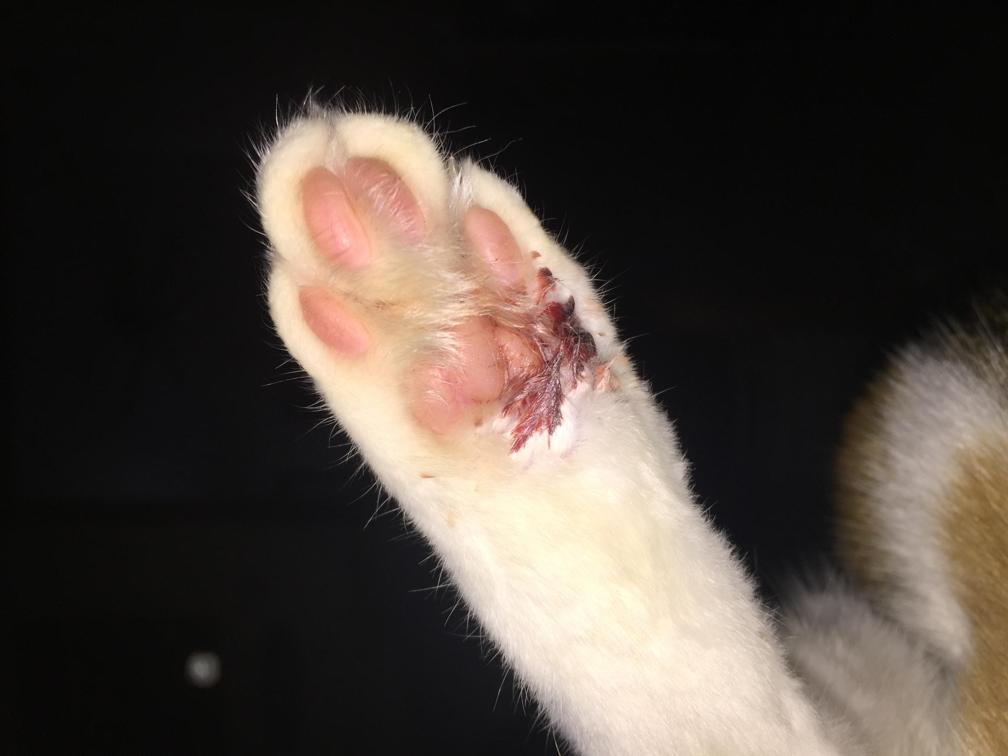 Question details sensitive content