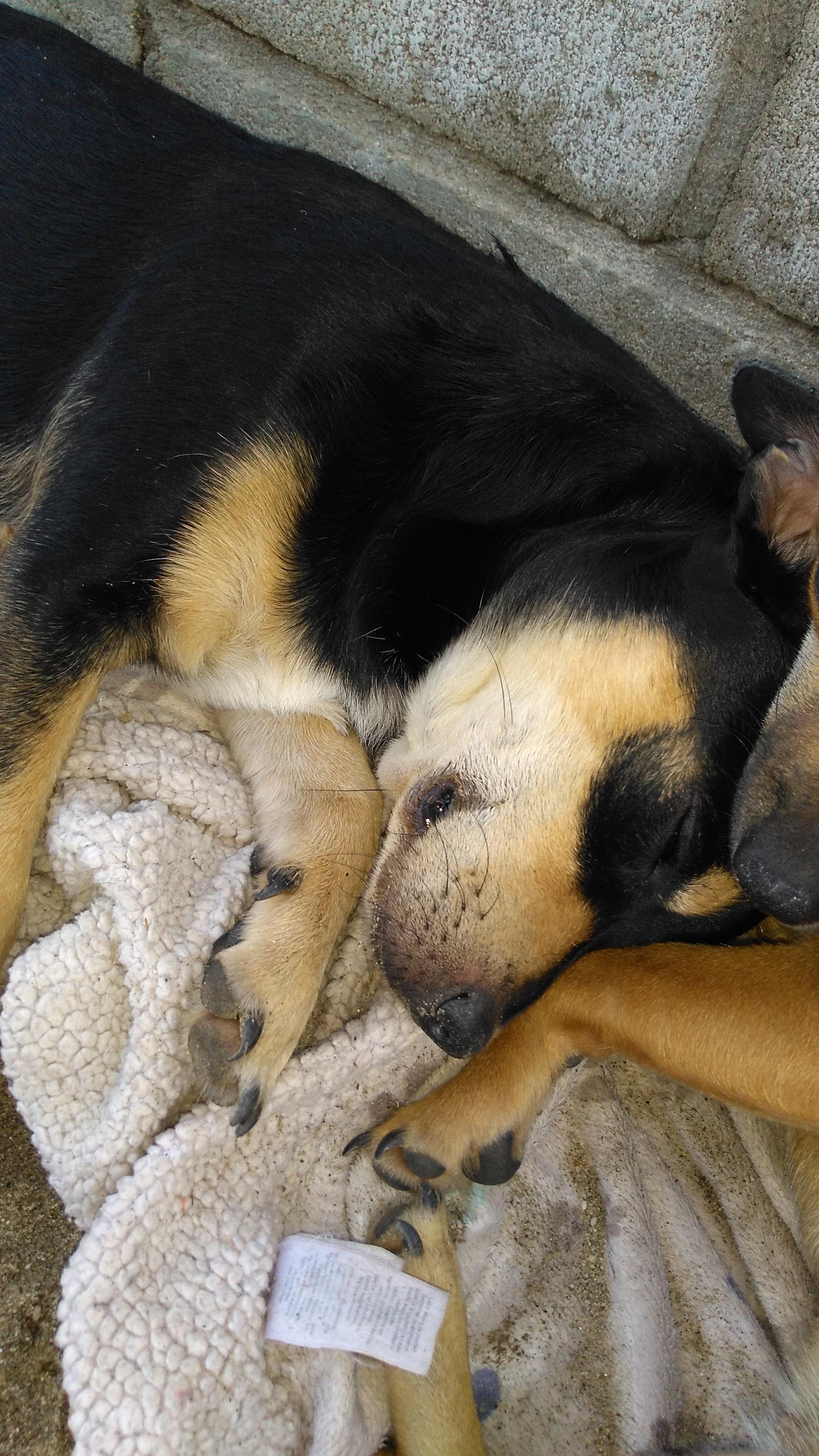 Question details sensitive content