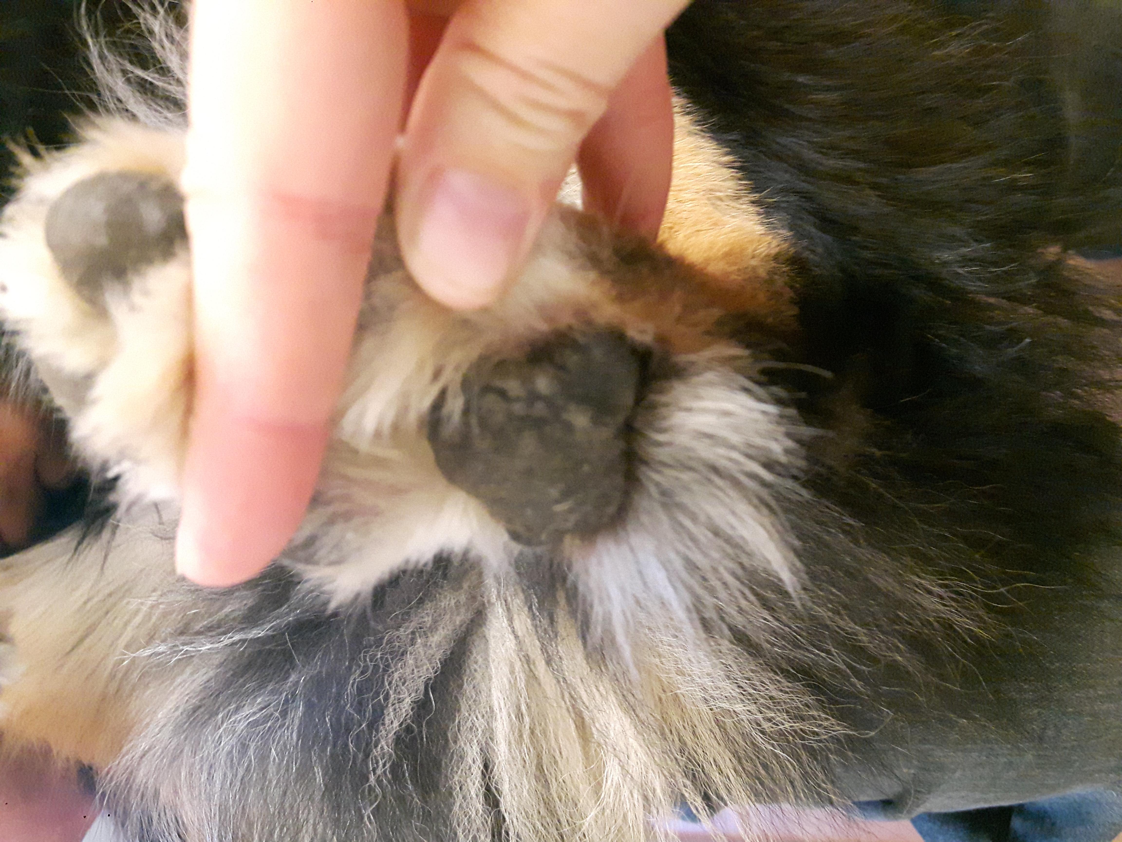 Question details sensitive content