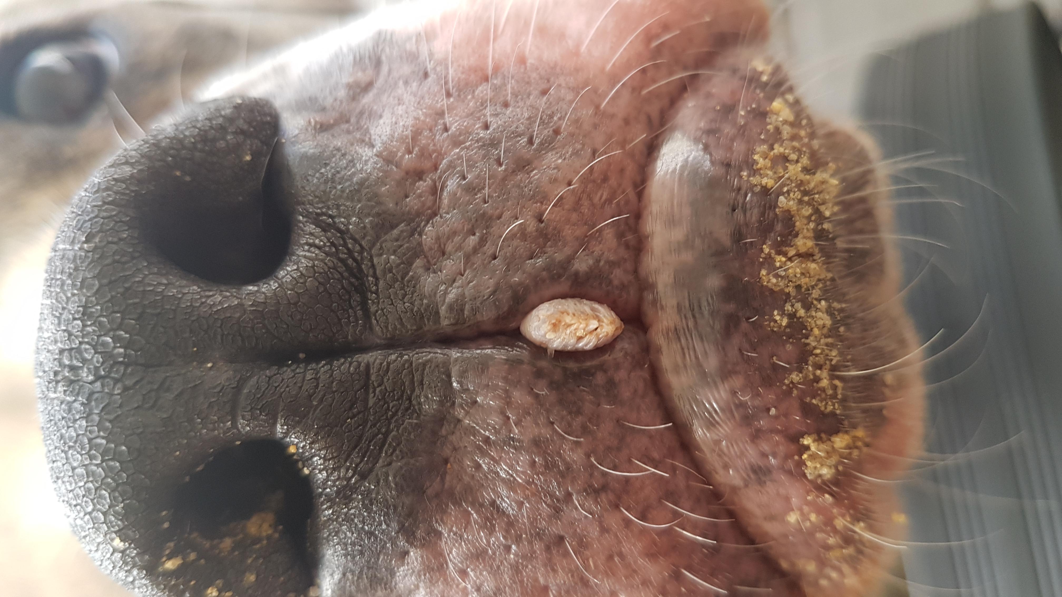 Question details sensitive content