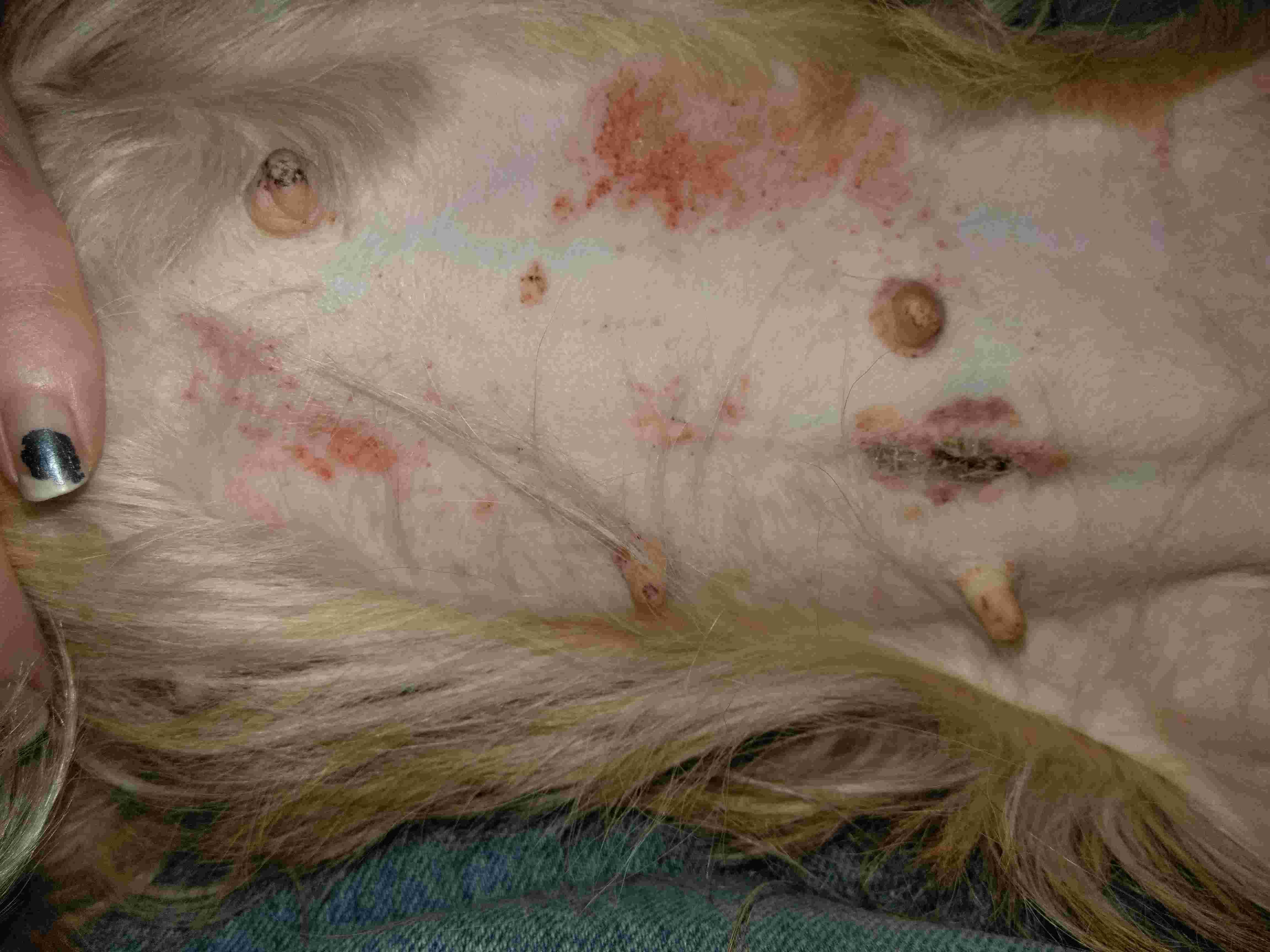 Question details sensitive content