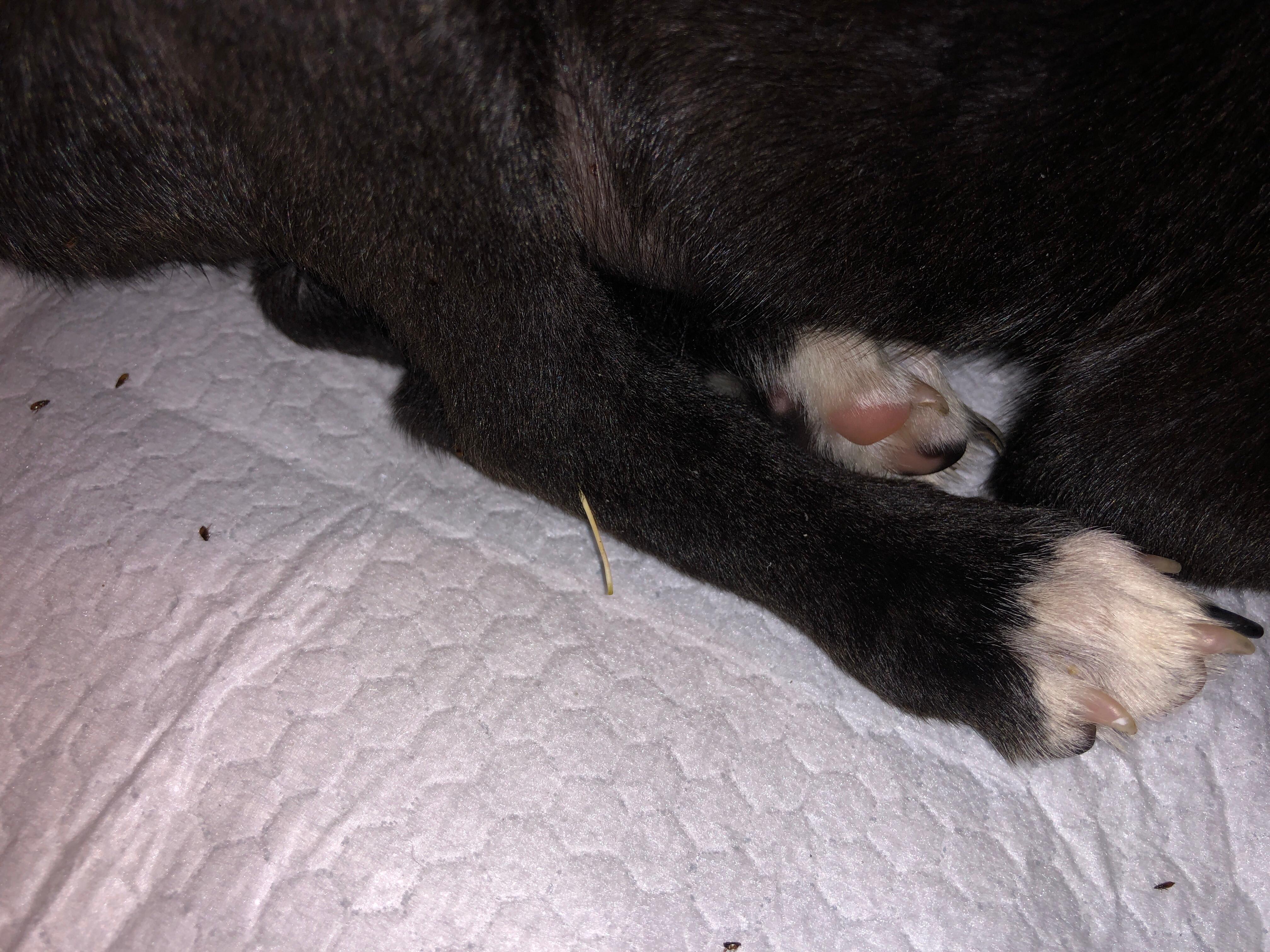 Question details sensitive content