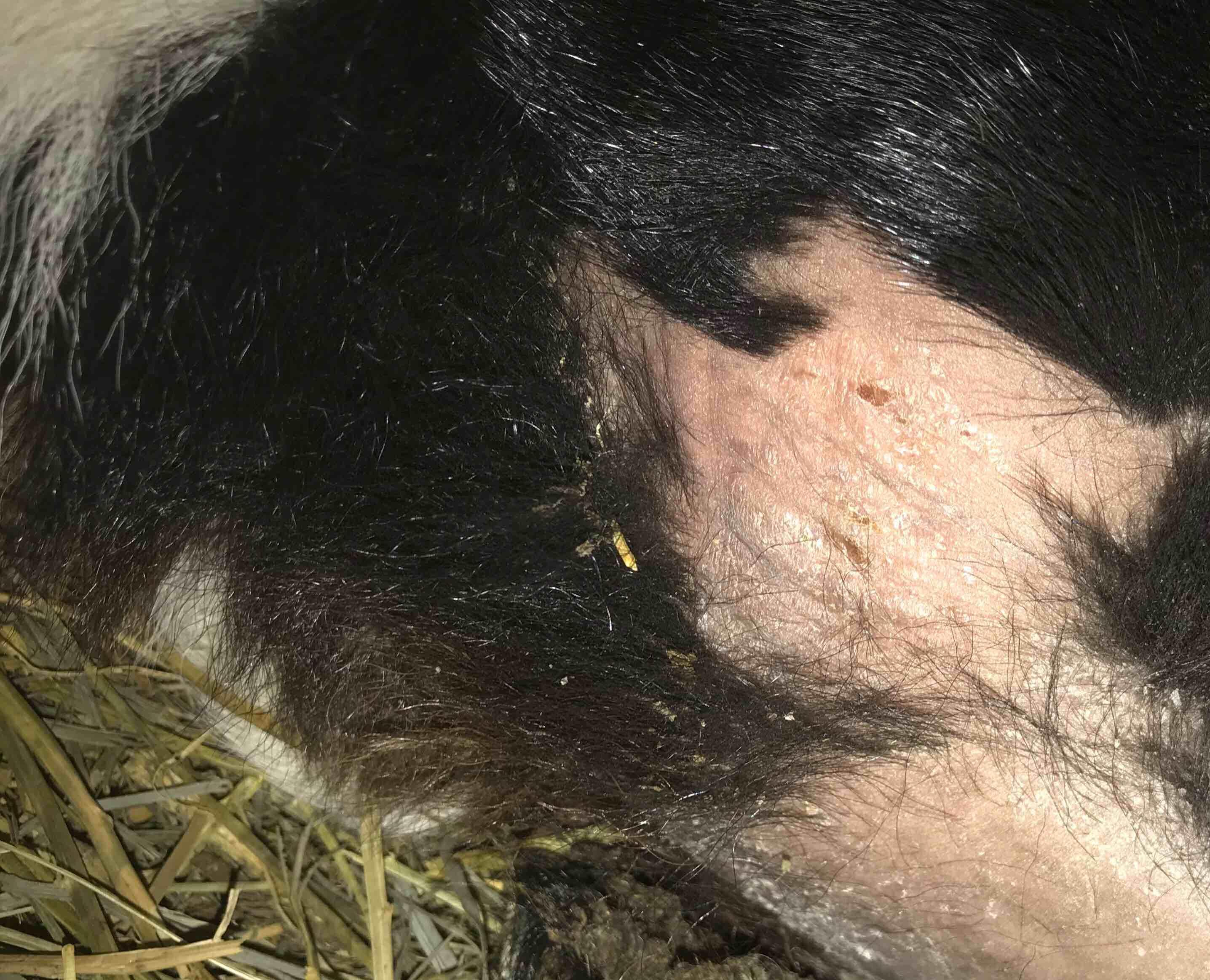 Question details sensitive content