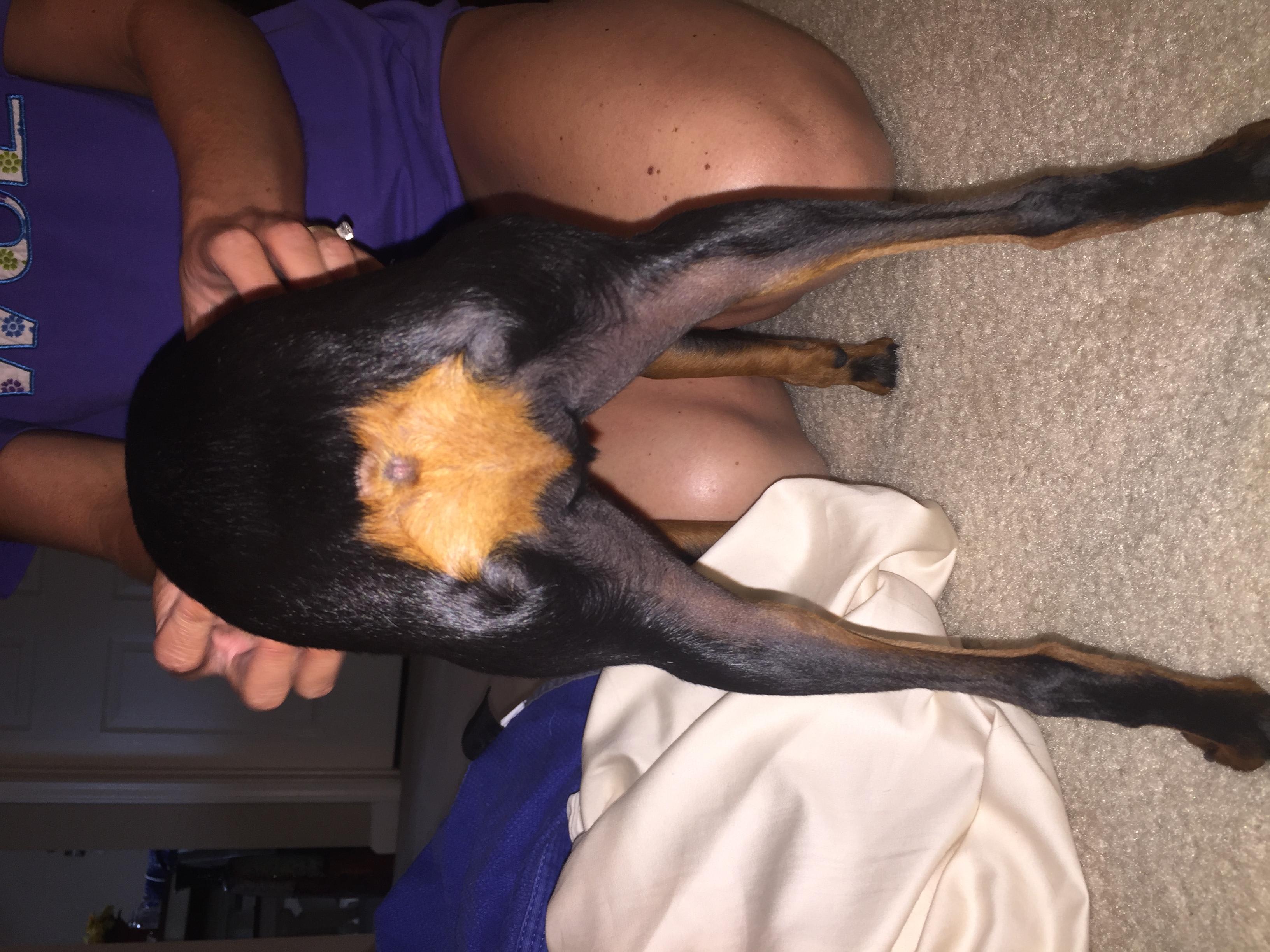 Question details sensitive content