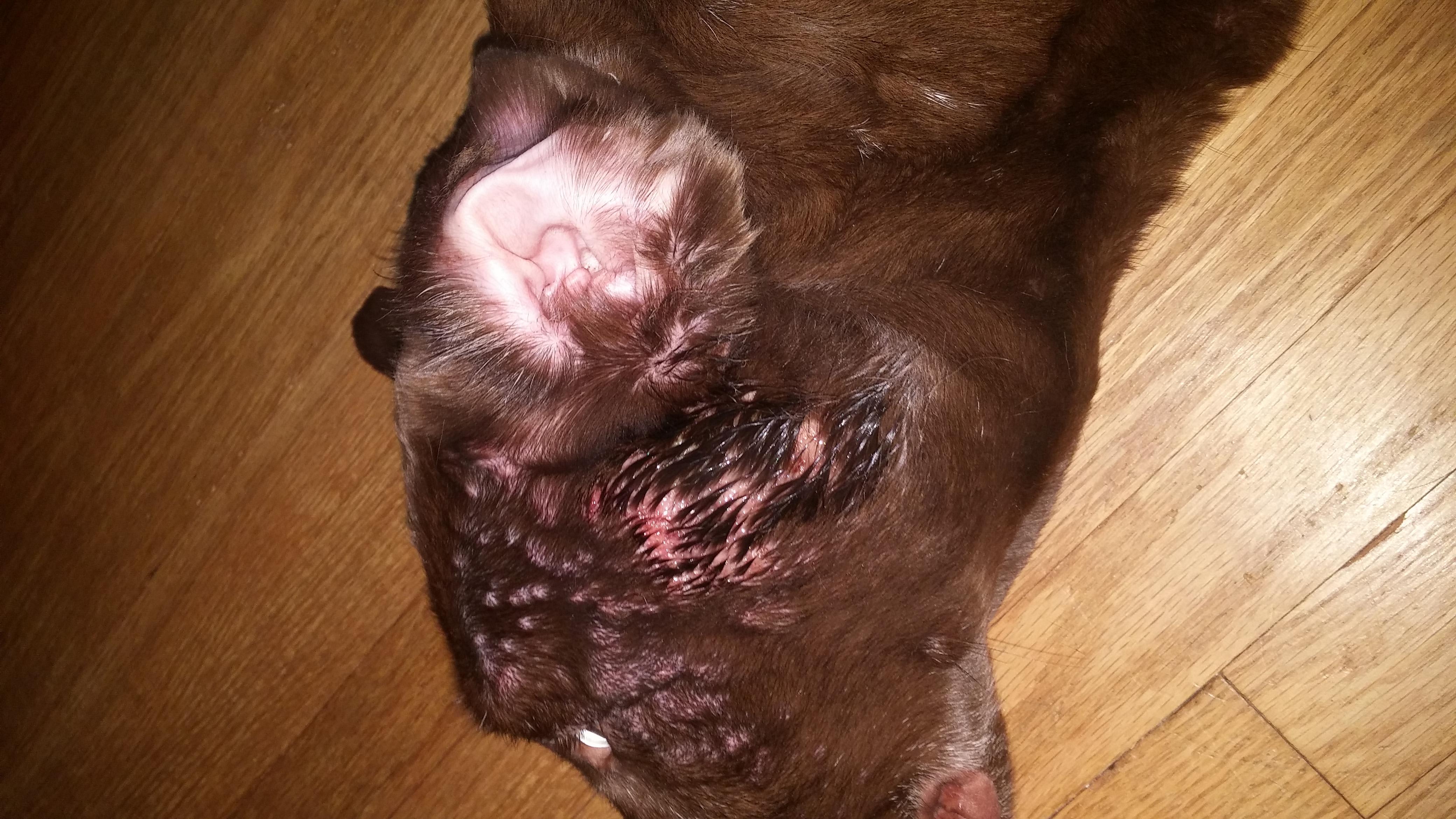 Question details sensitive content