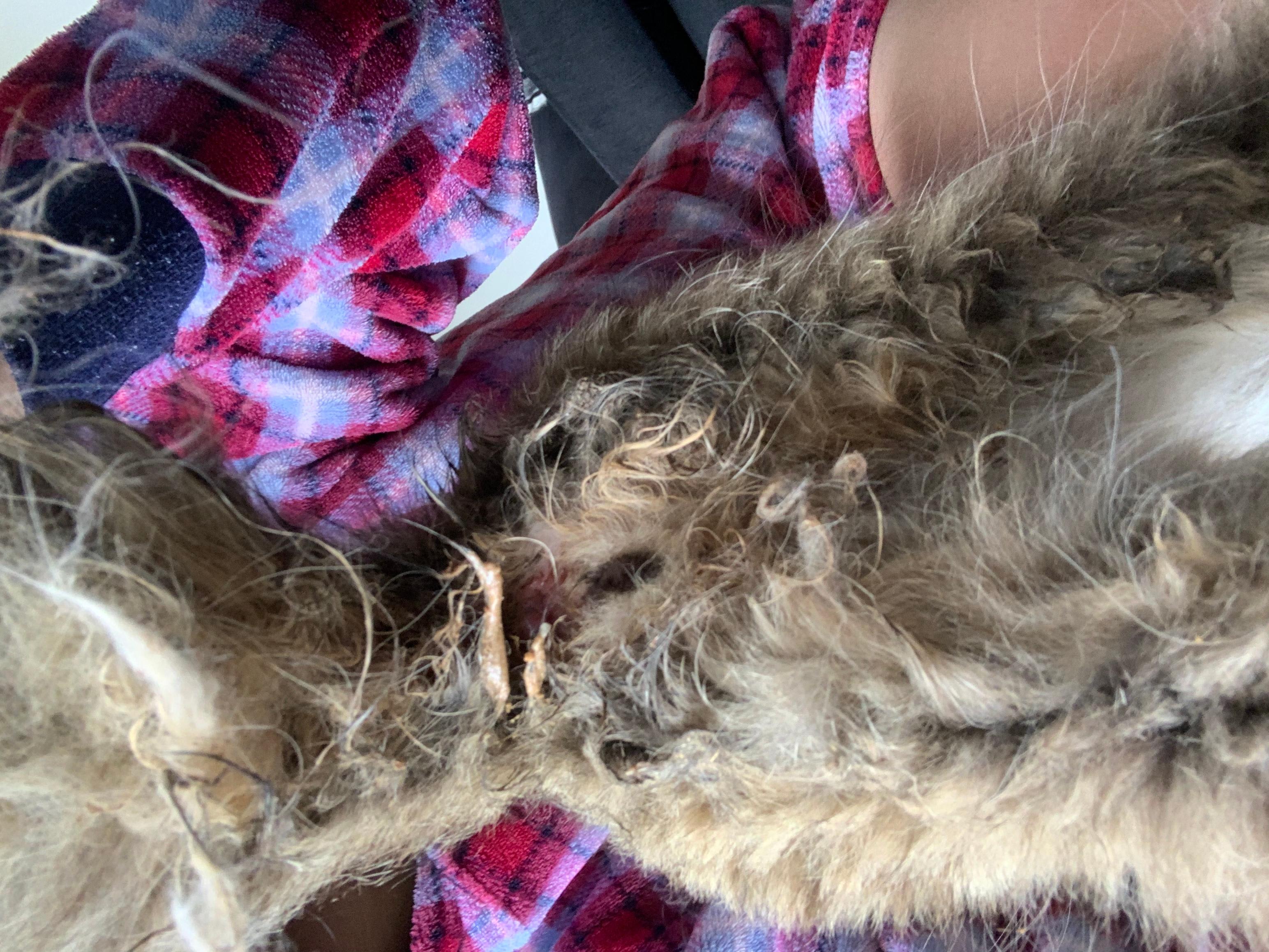 Question details sensitive content