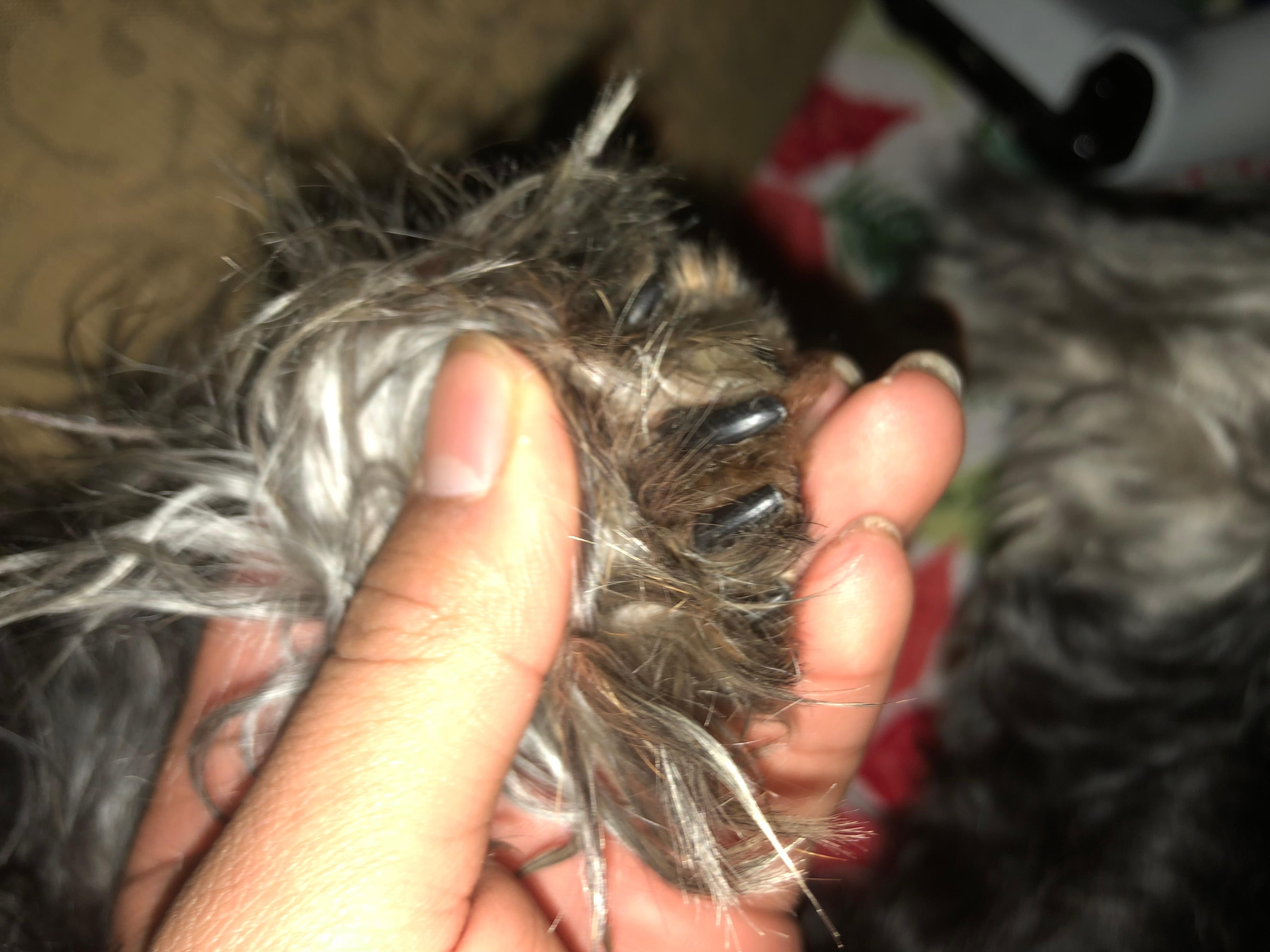 Question details sensitive content