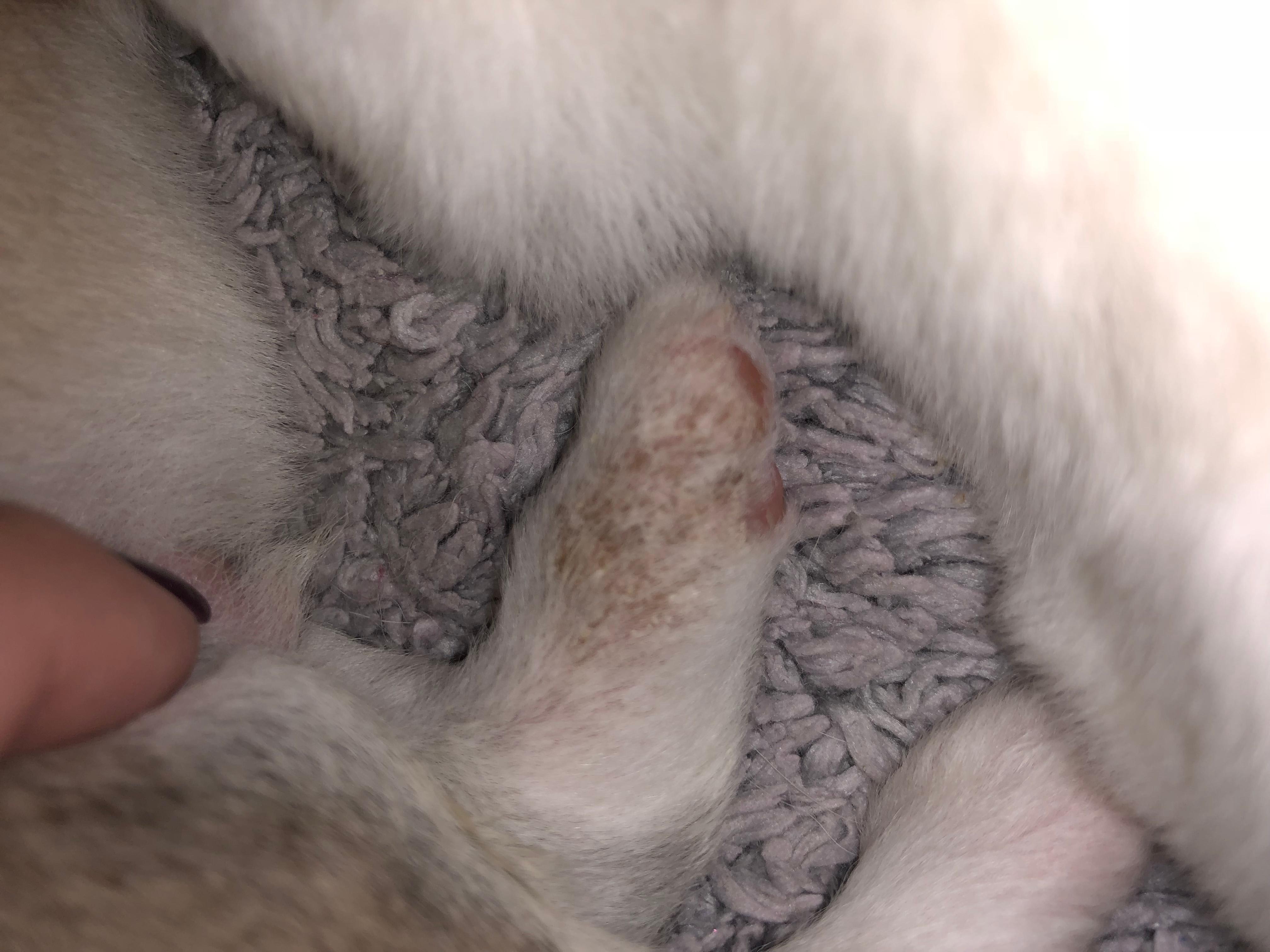 Question details sensitive content