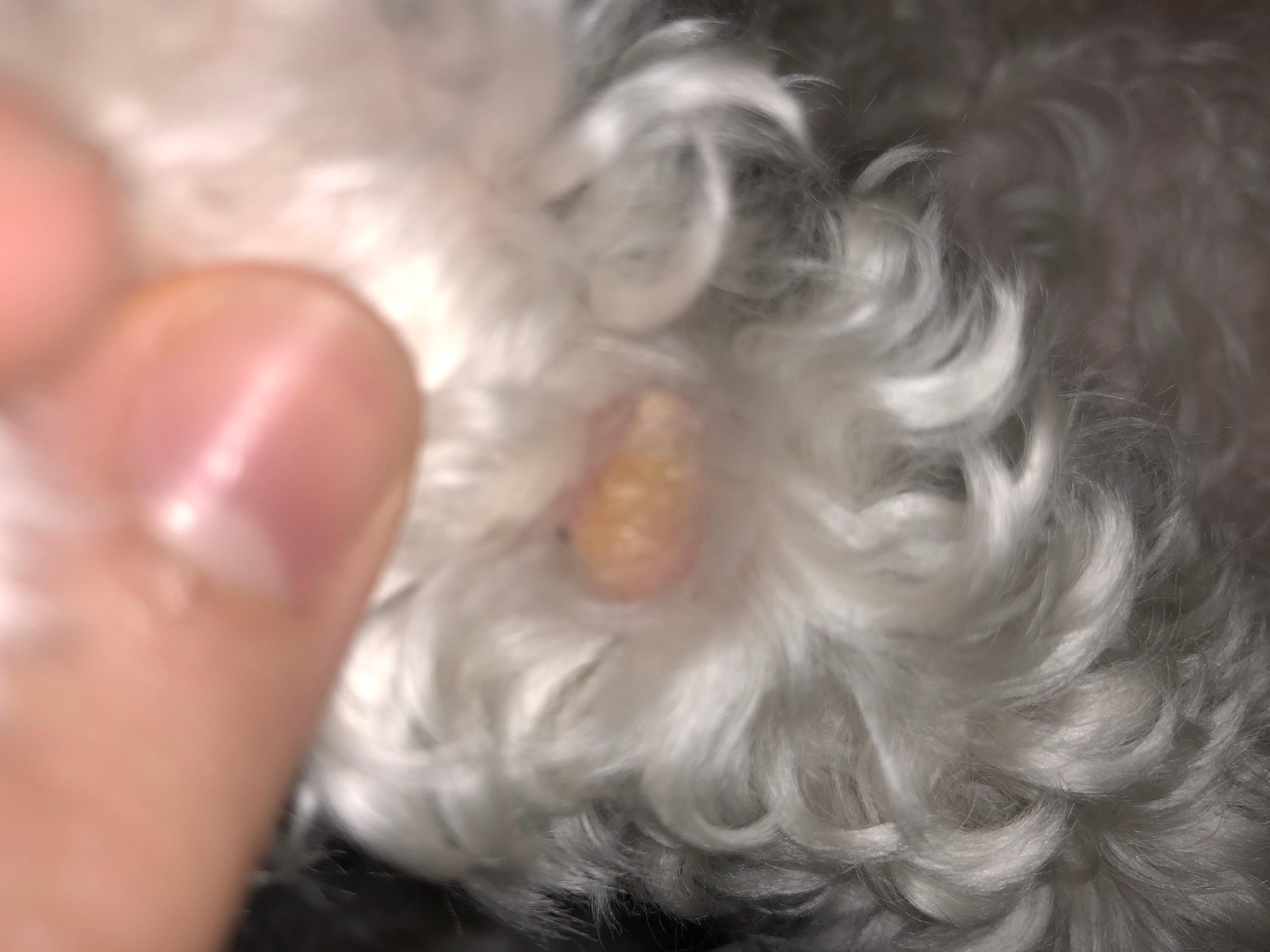 Question details sensitive content