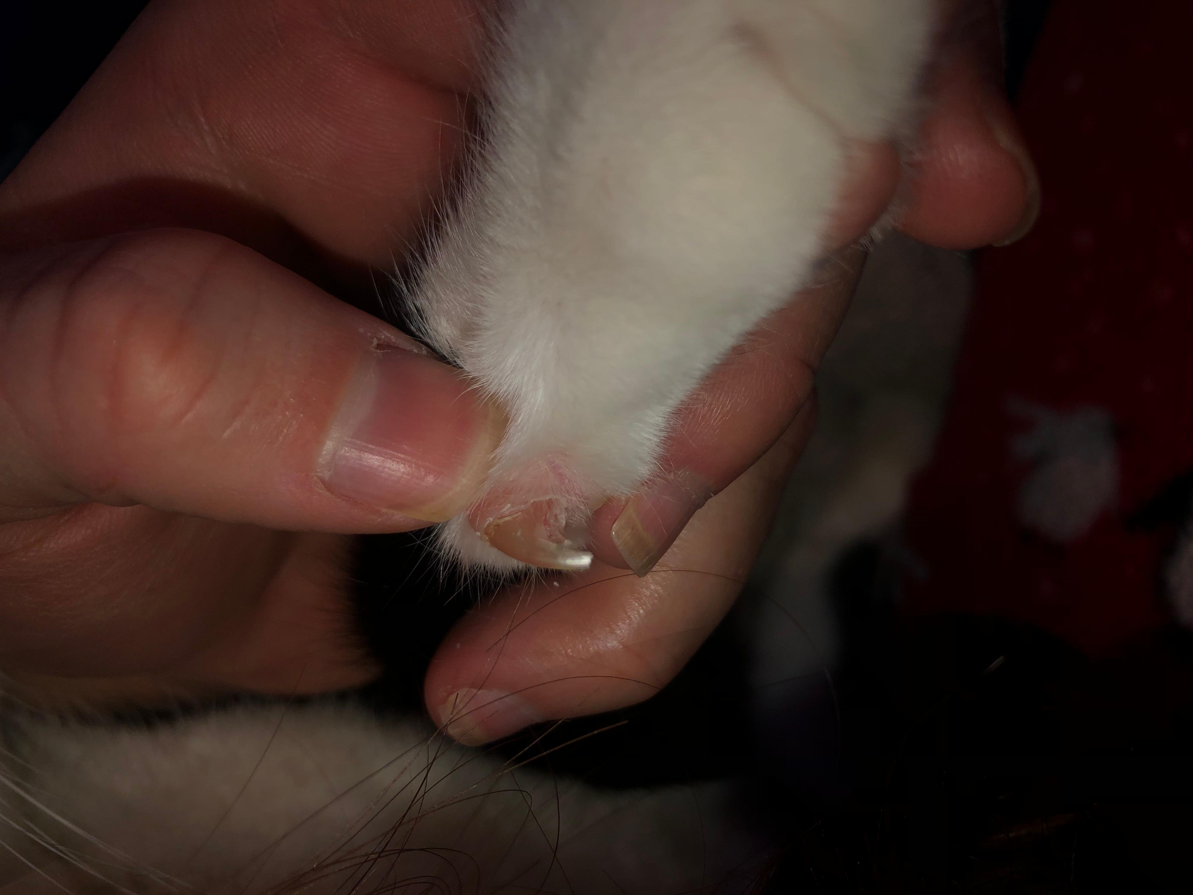 Question details sensitive content