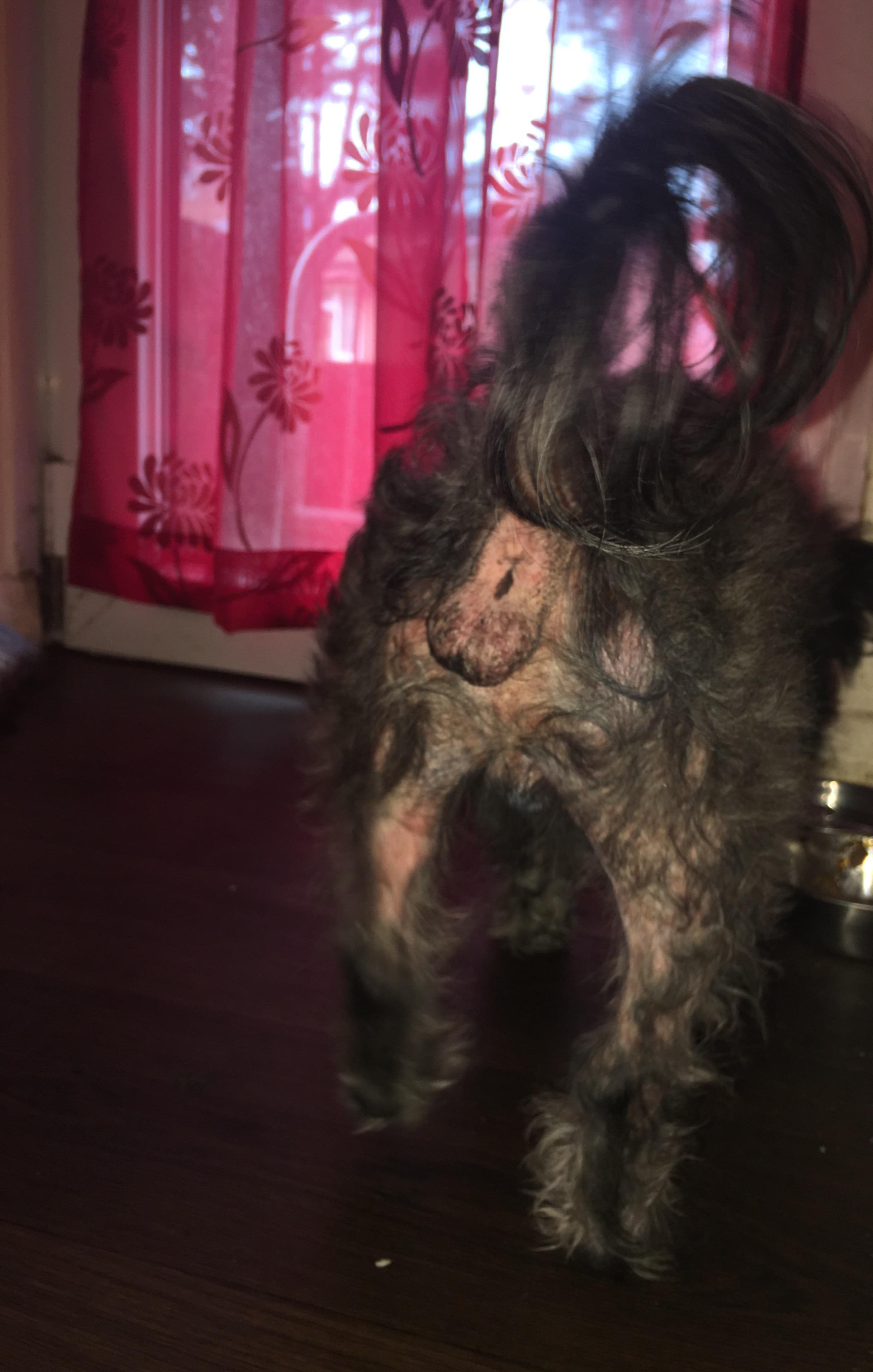 Question details sensitive content