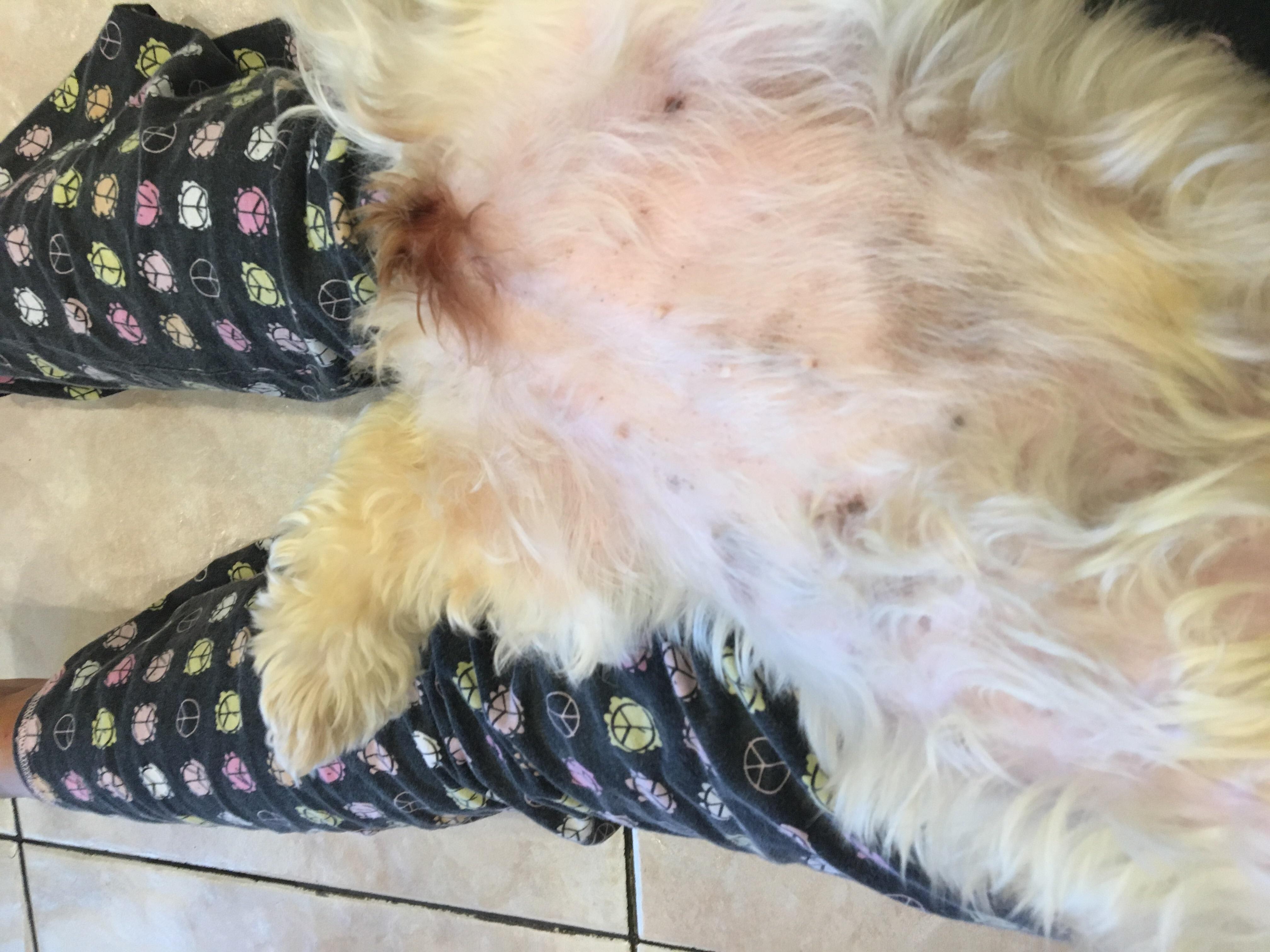 Question details sensitive content