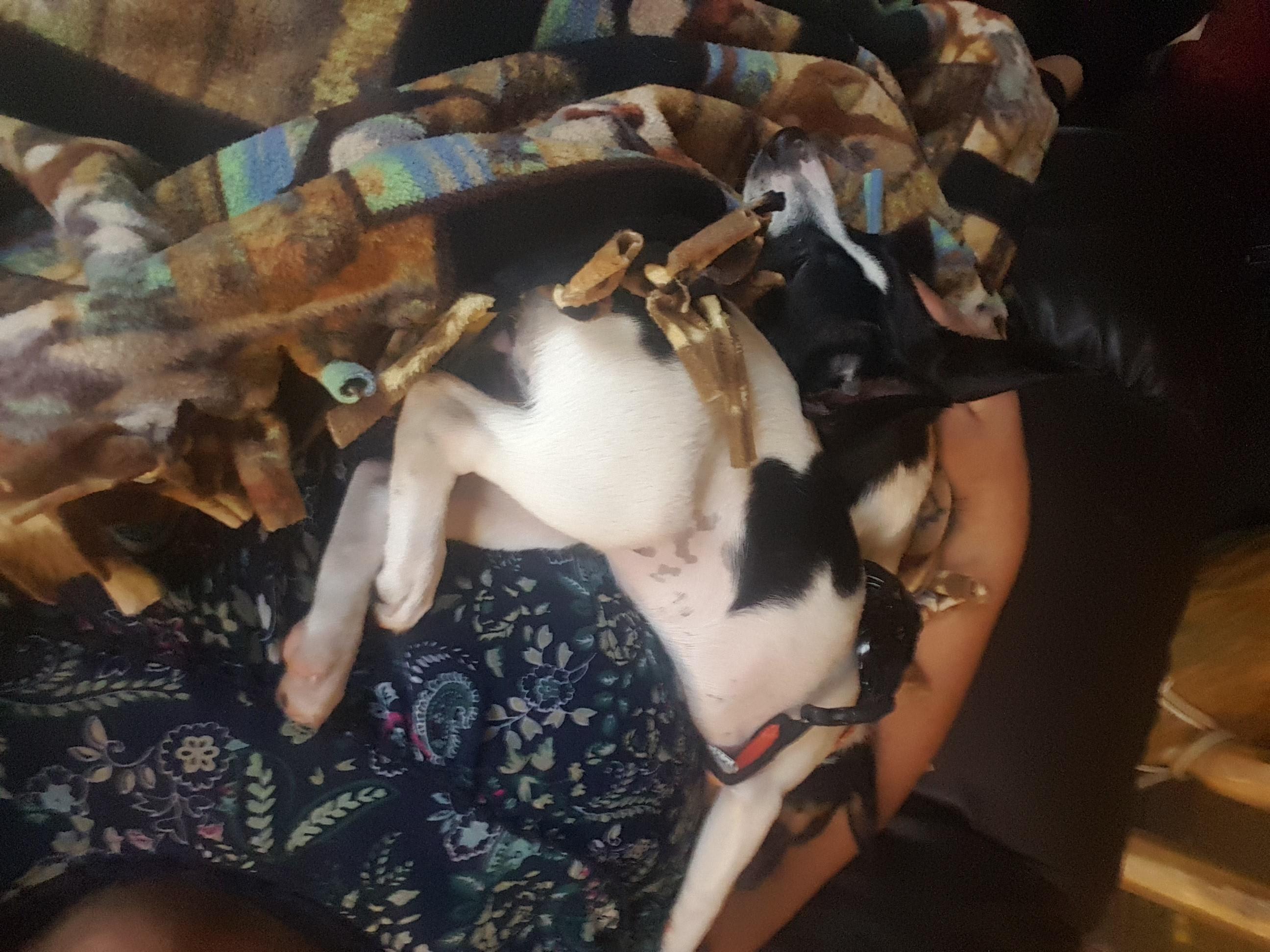 Question details sensitive content