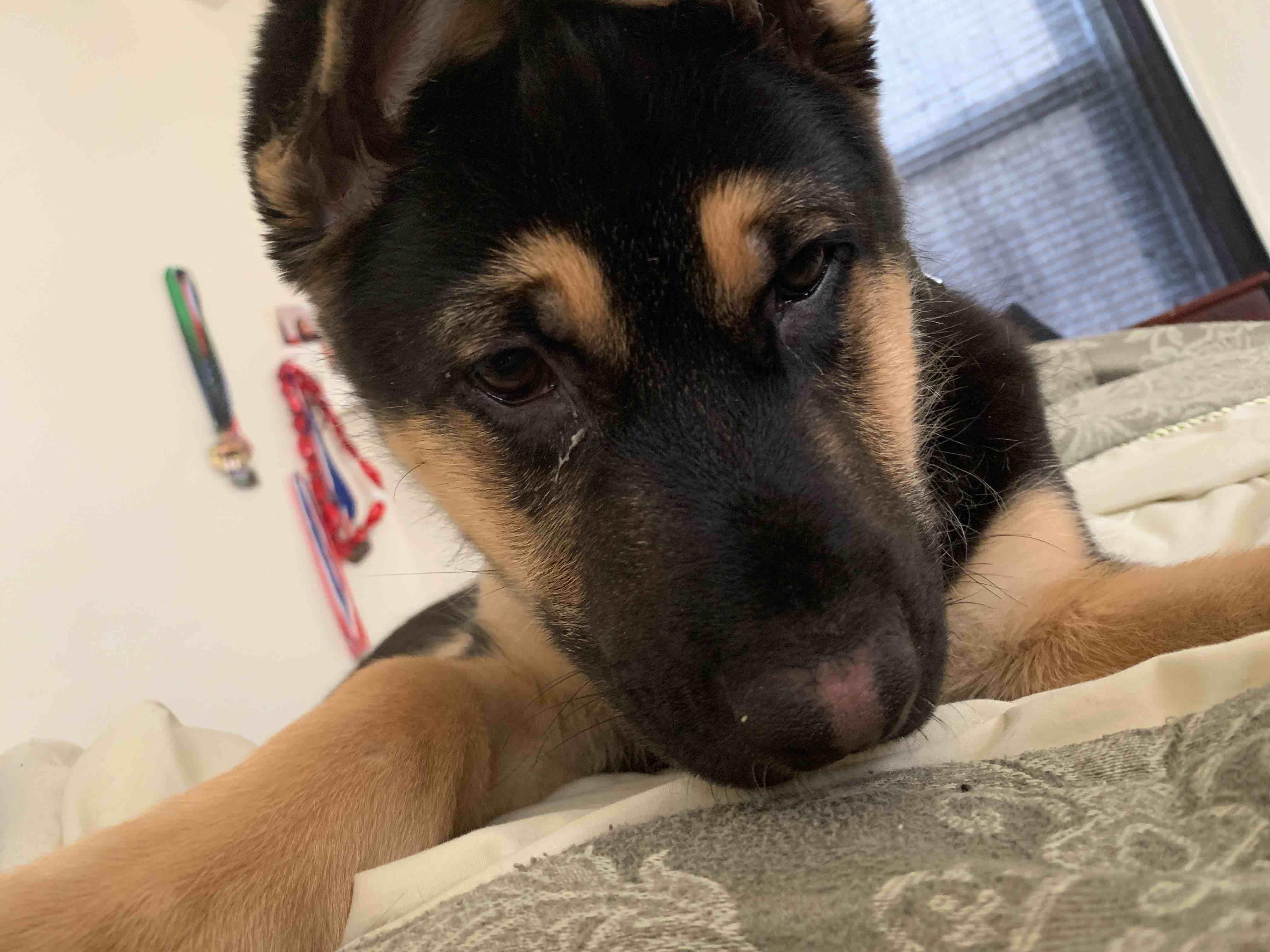 Question details sensitive content