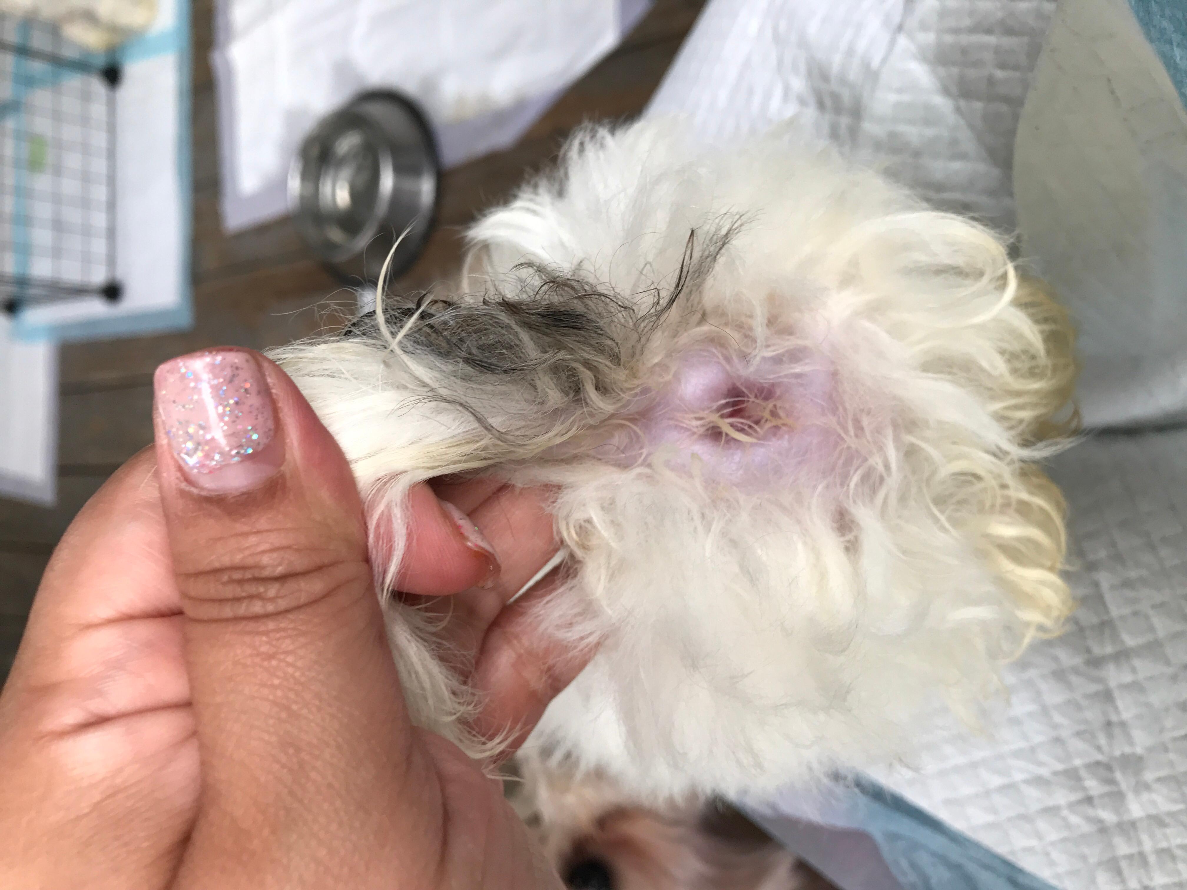 Question details sensitive content