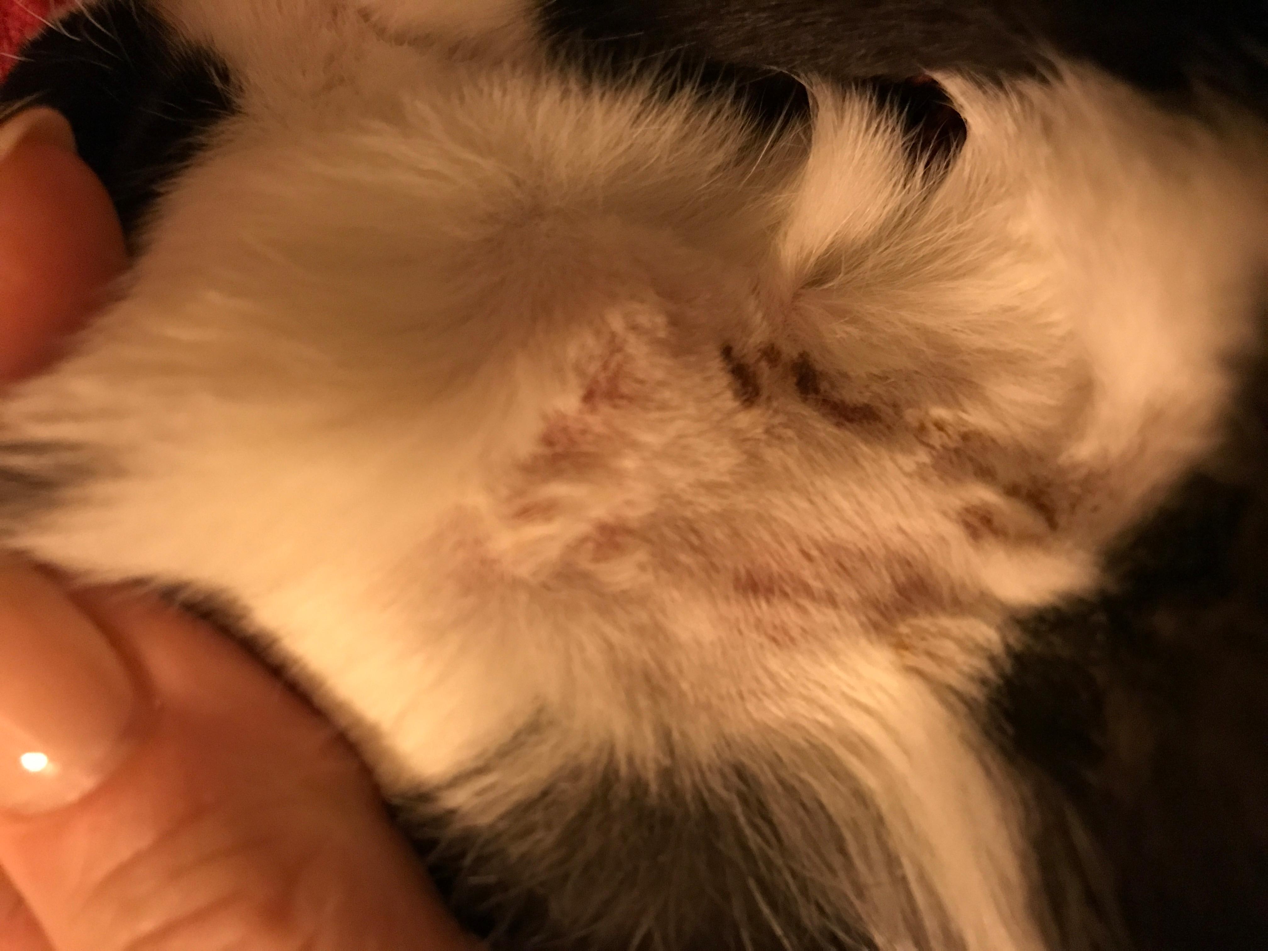 Question details sensitive content