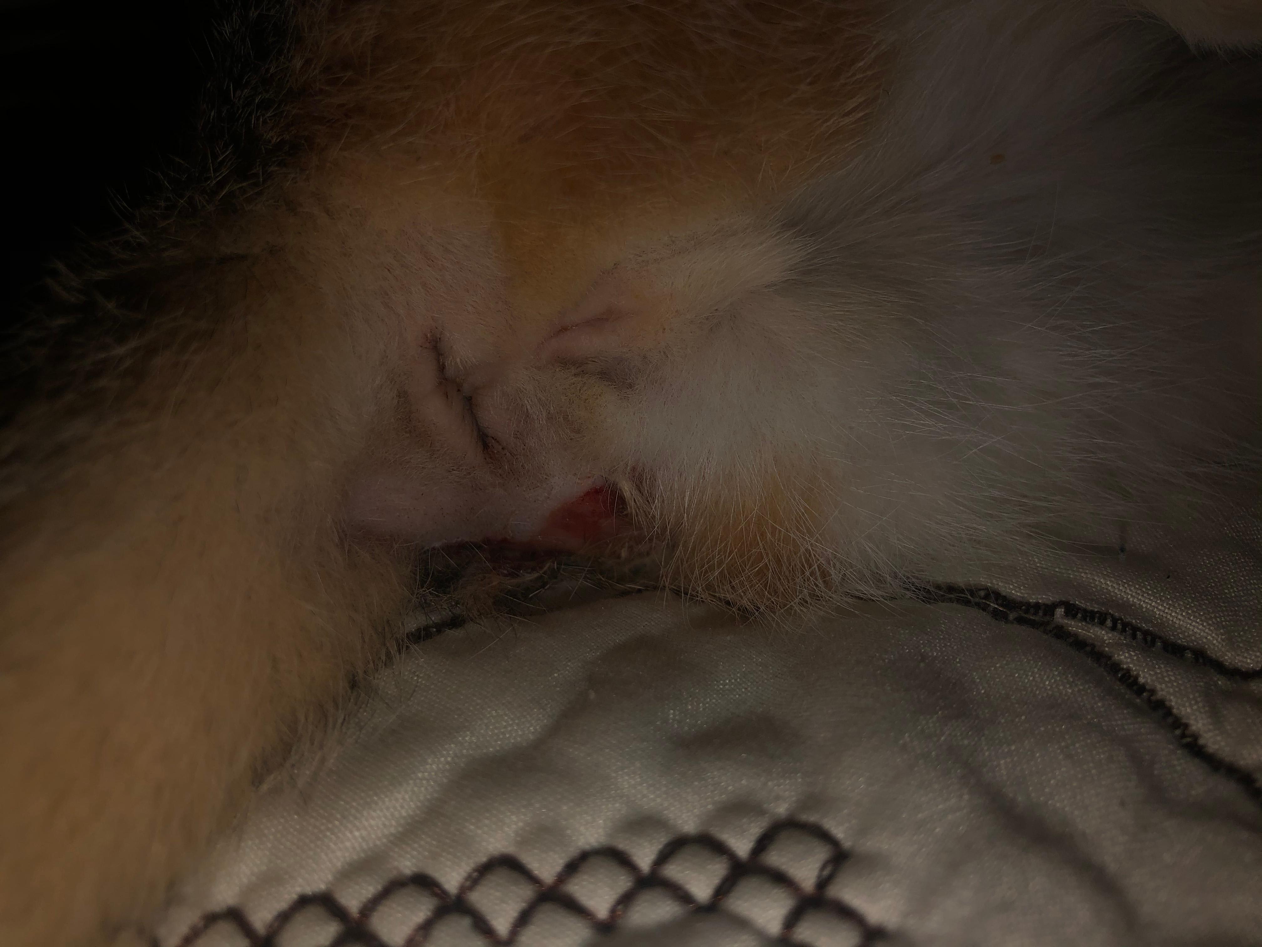 Question details sensitive content