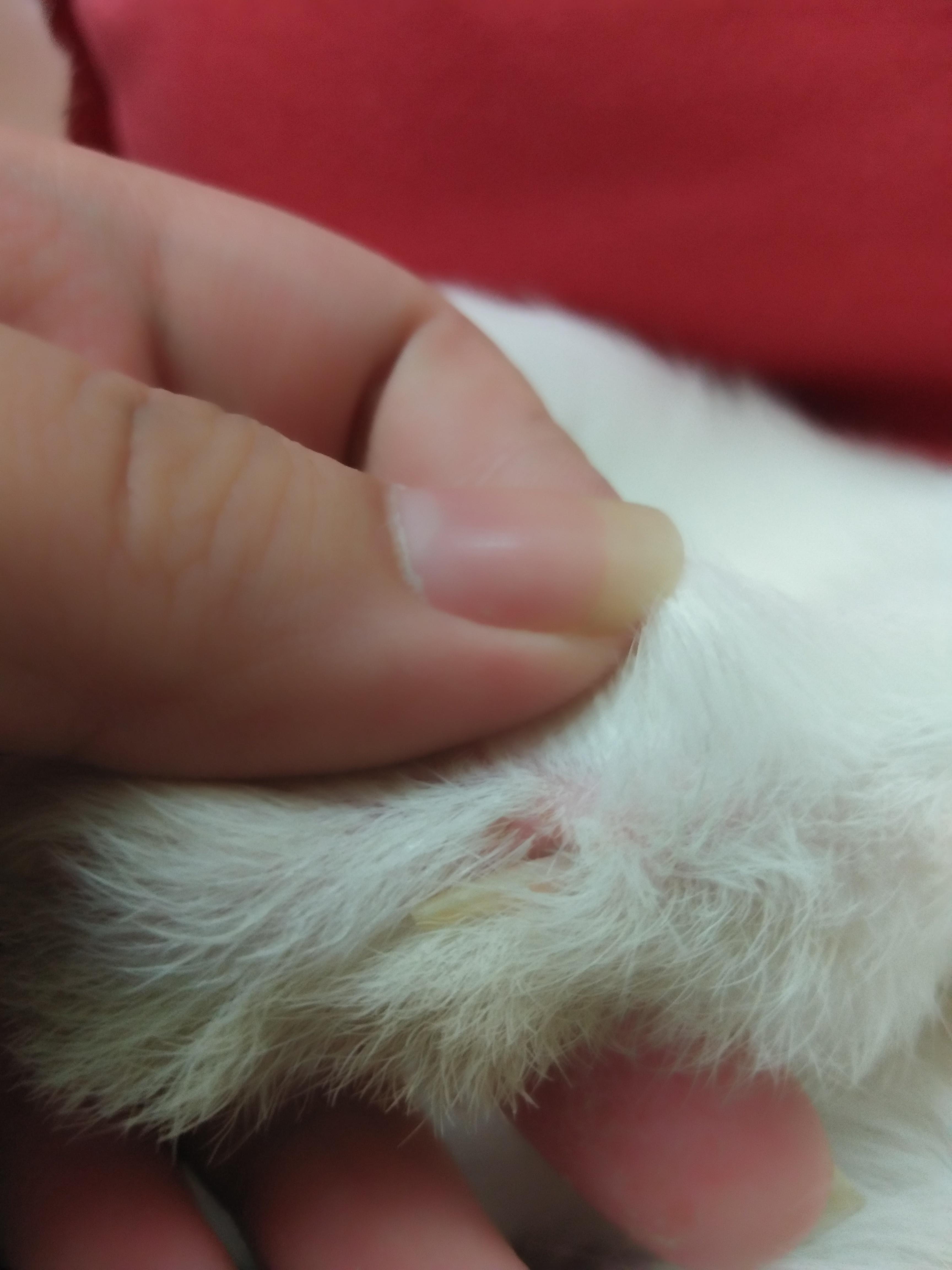 Question details sensitive content