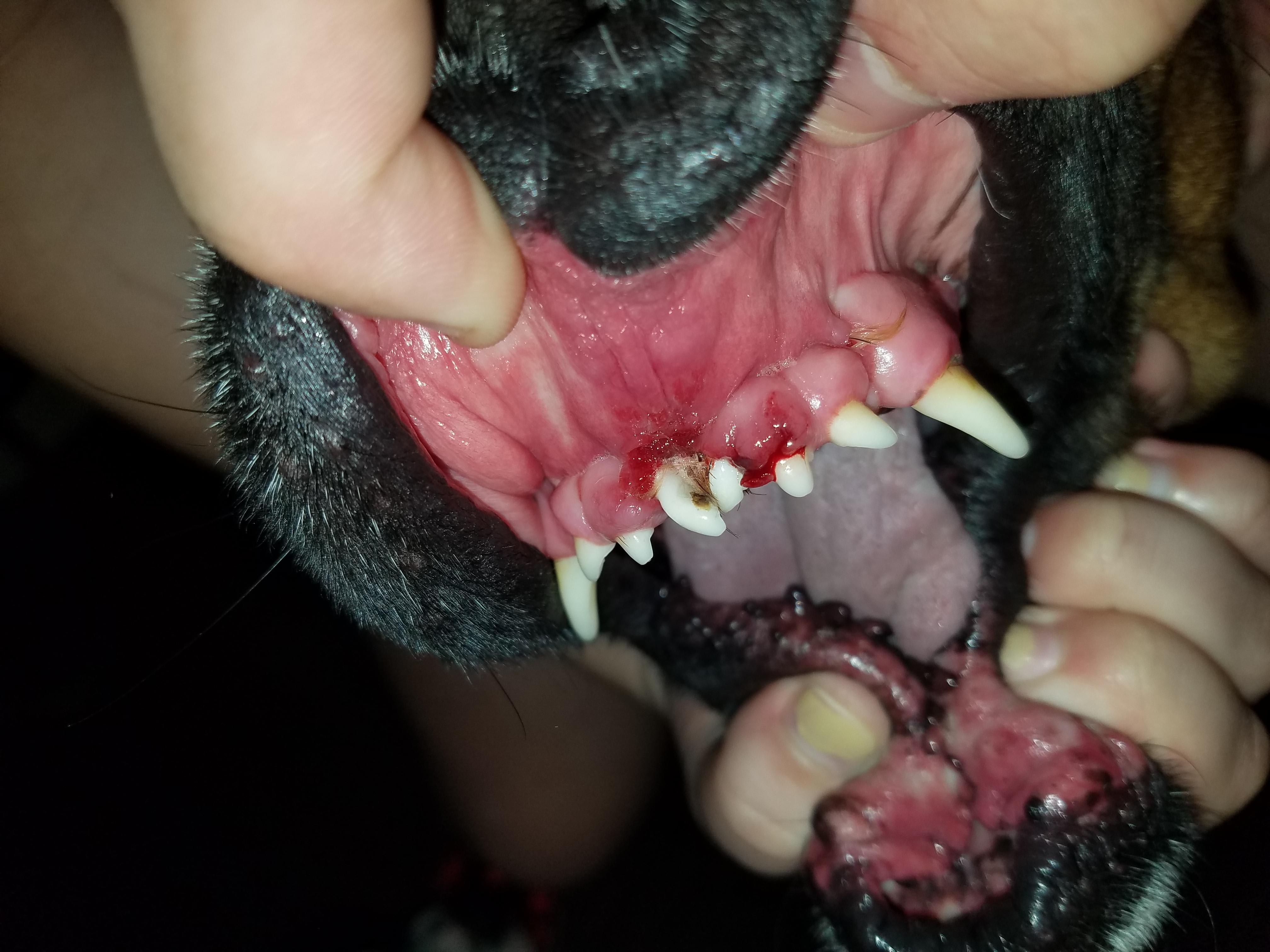 Question details sensitive content