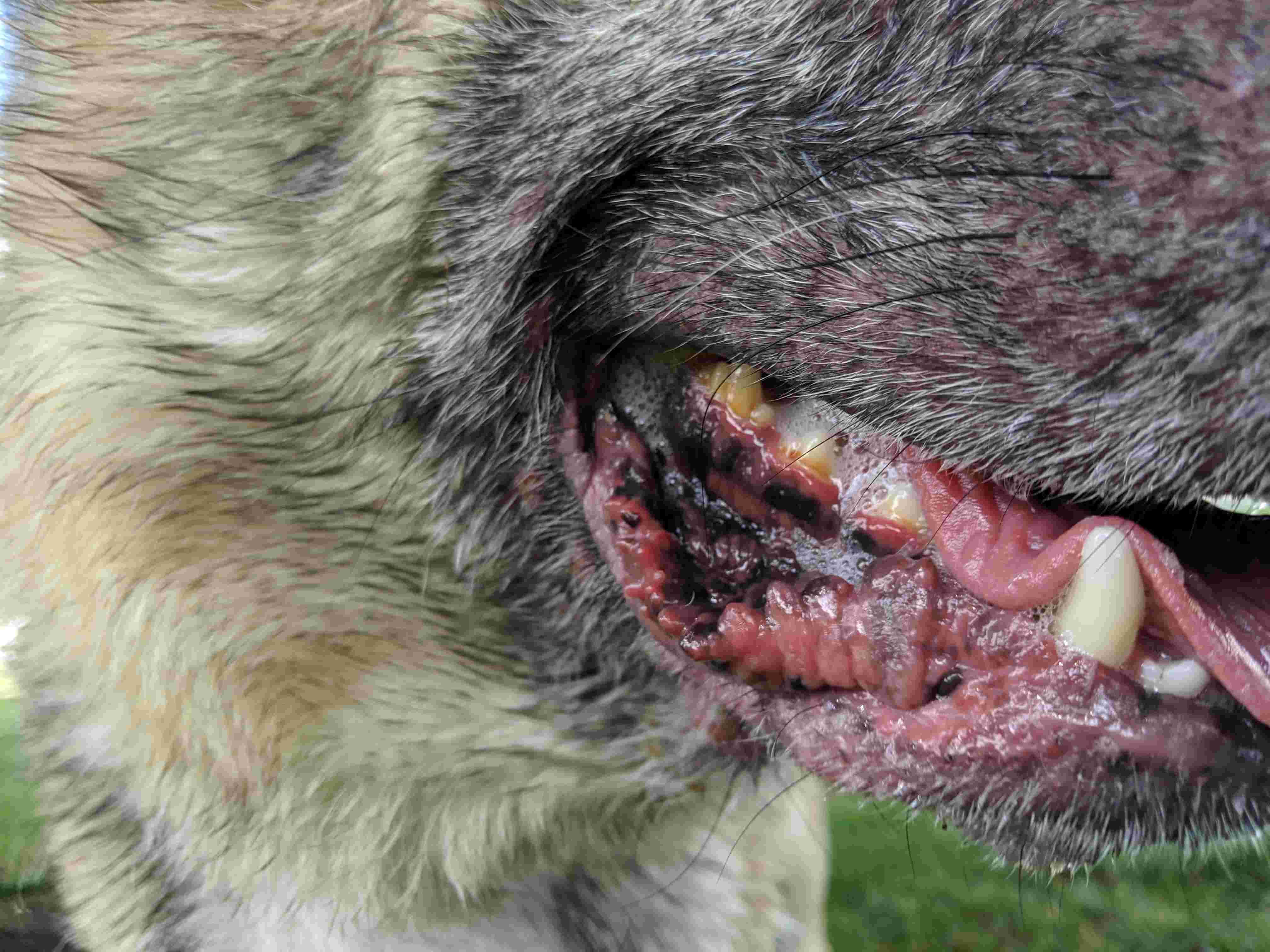 Question details sensitive content