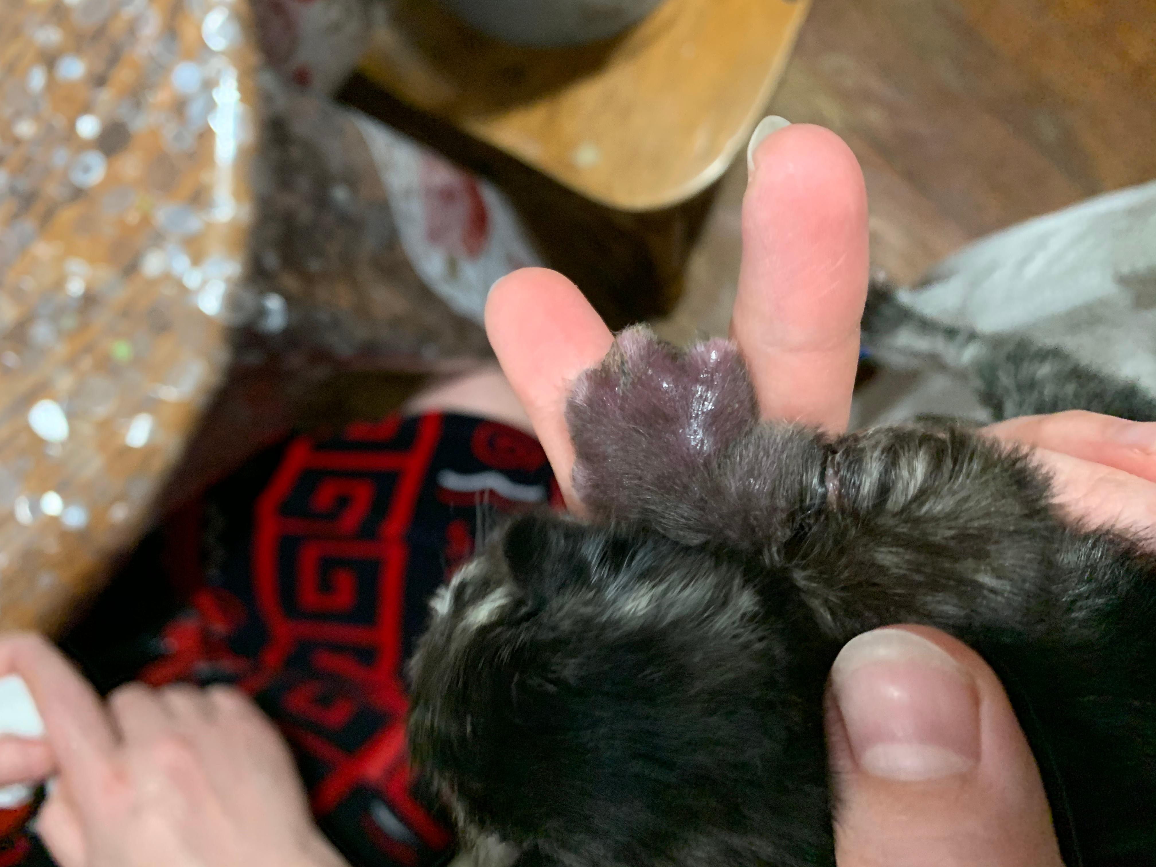 Question details sensitive content