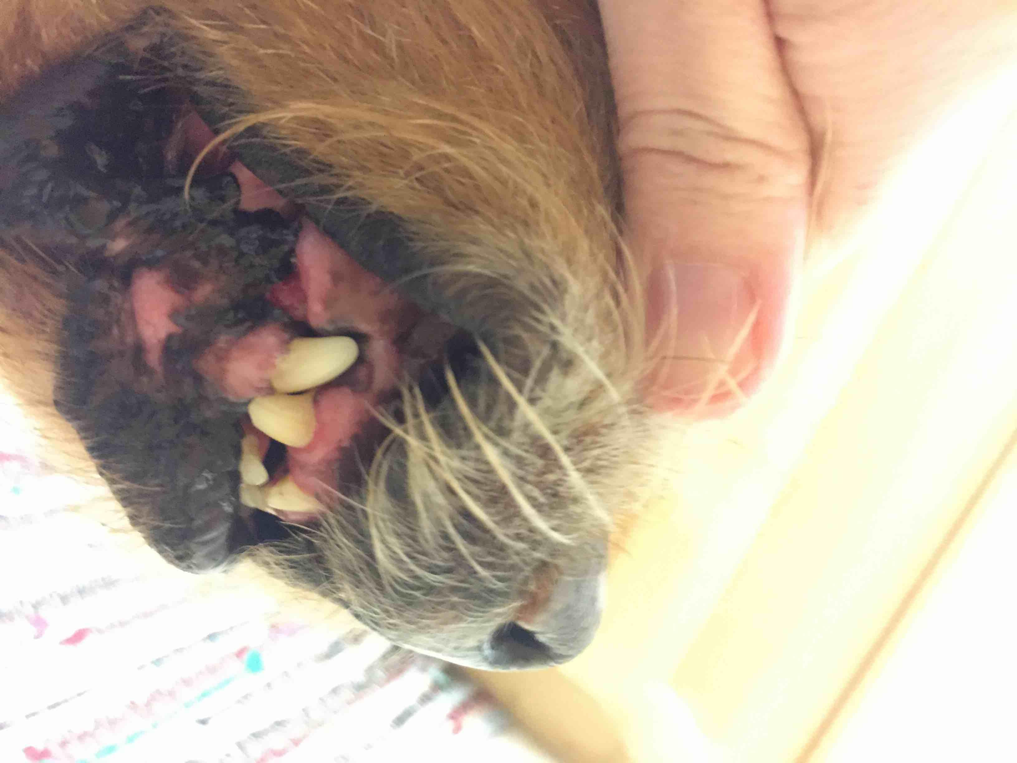 Question details sensitive content