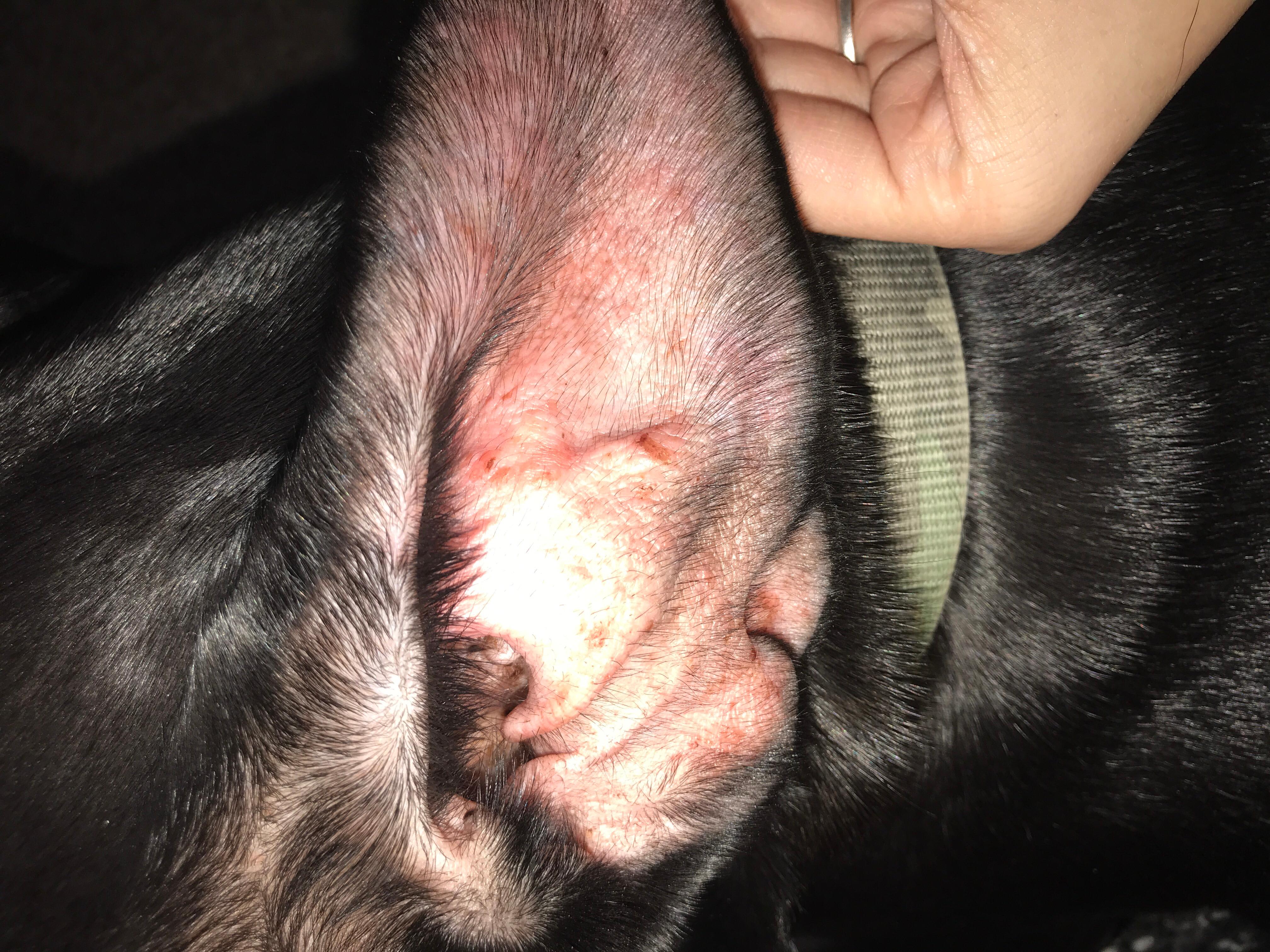 Question details sensitive content