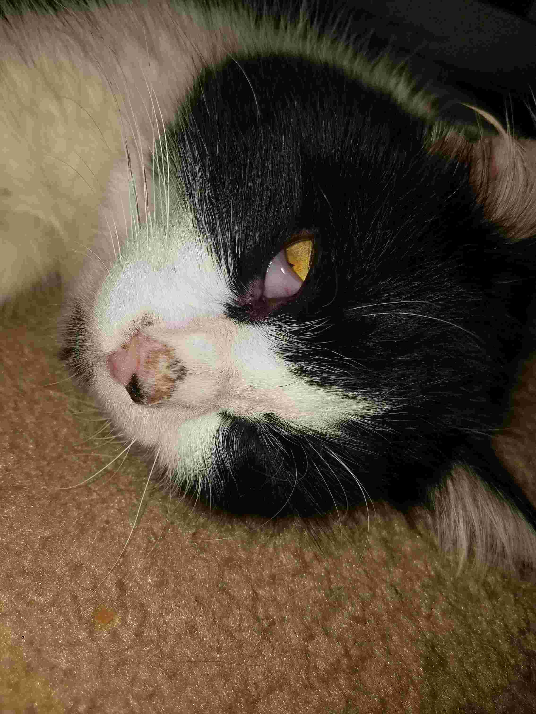 Question details sensitive content