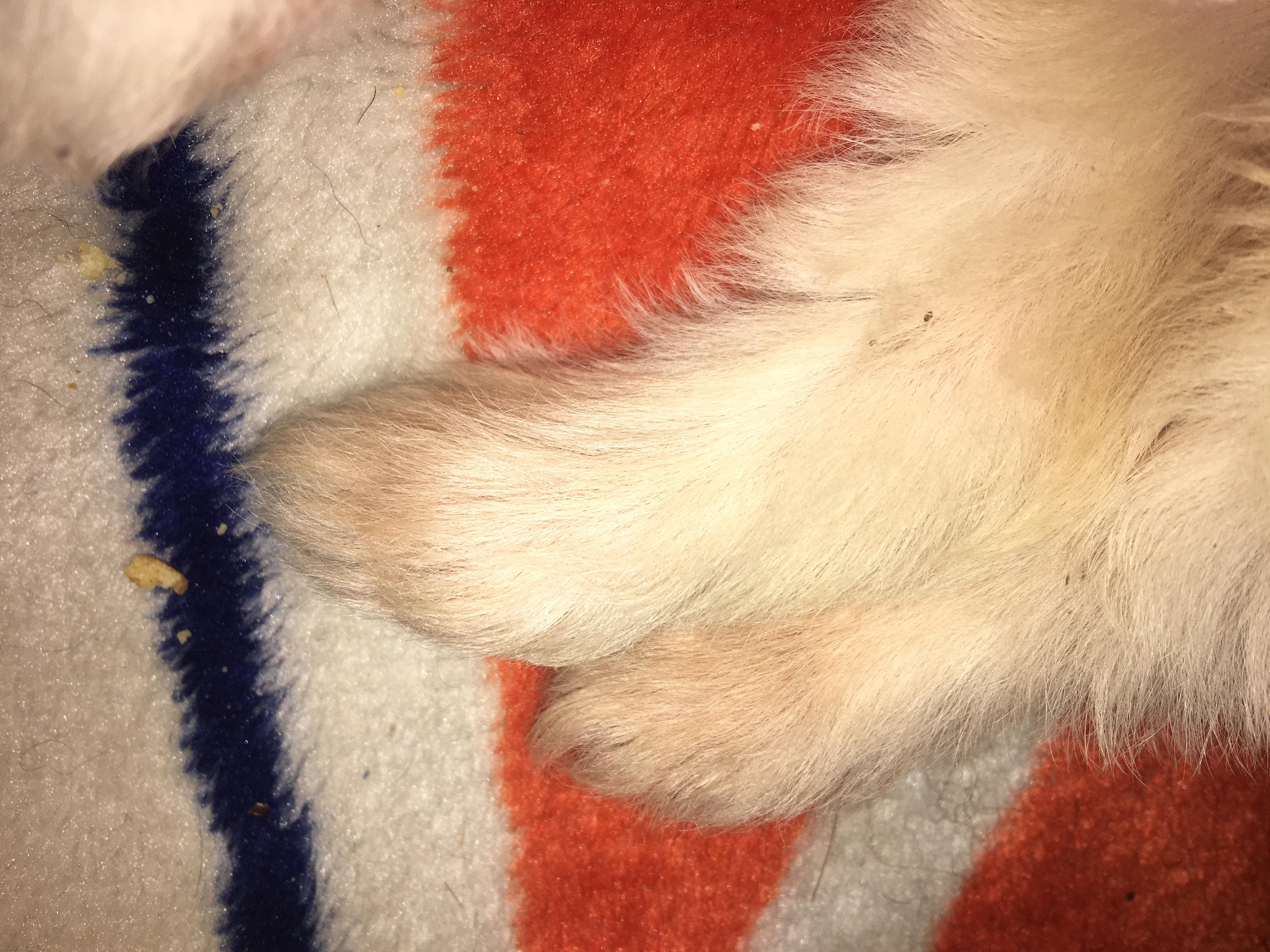 Question details sensitive content