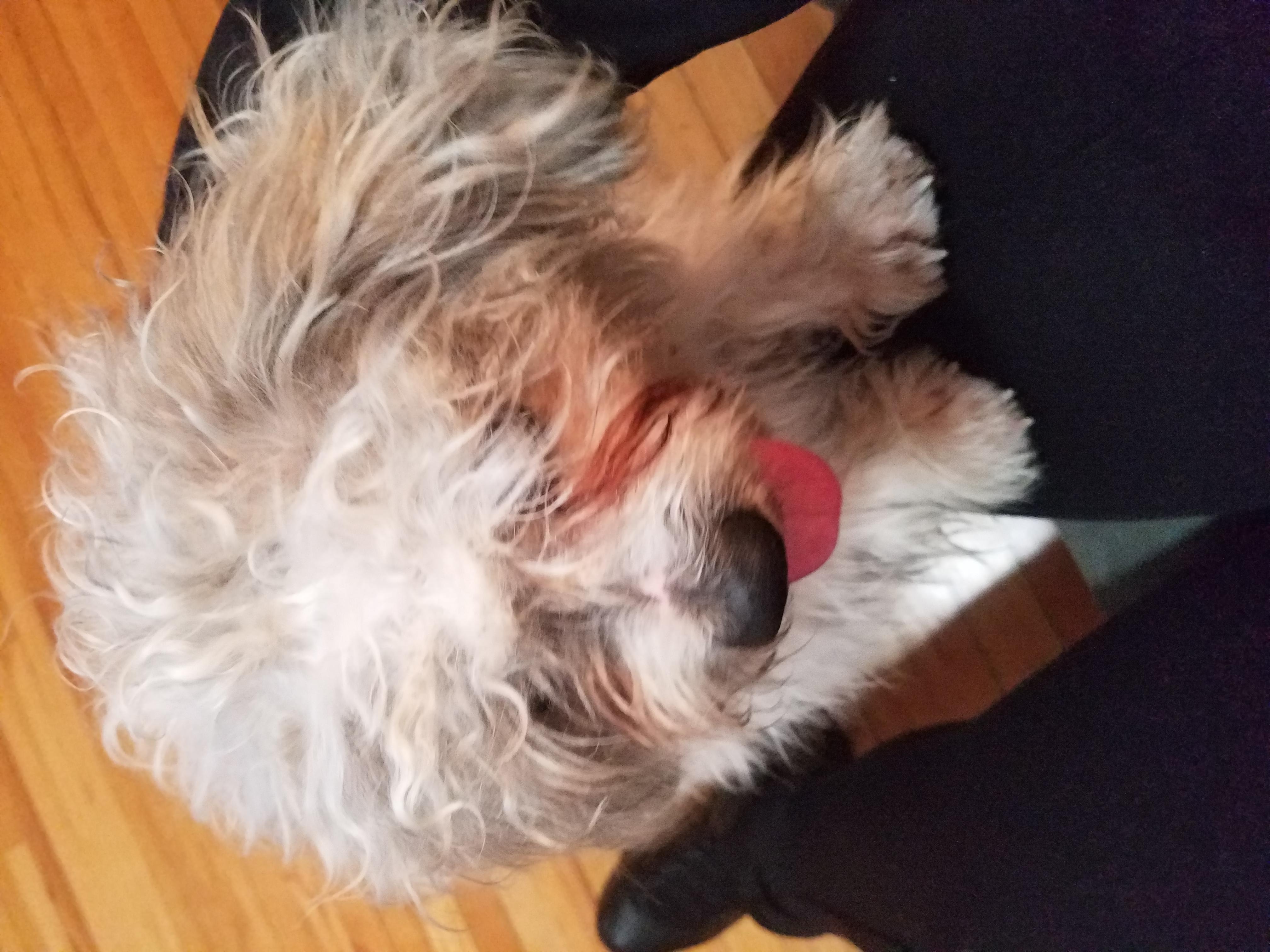 Question details sensitive content