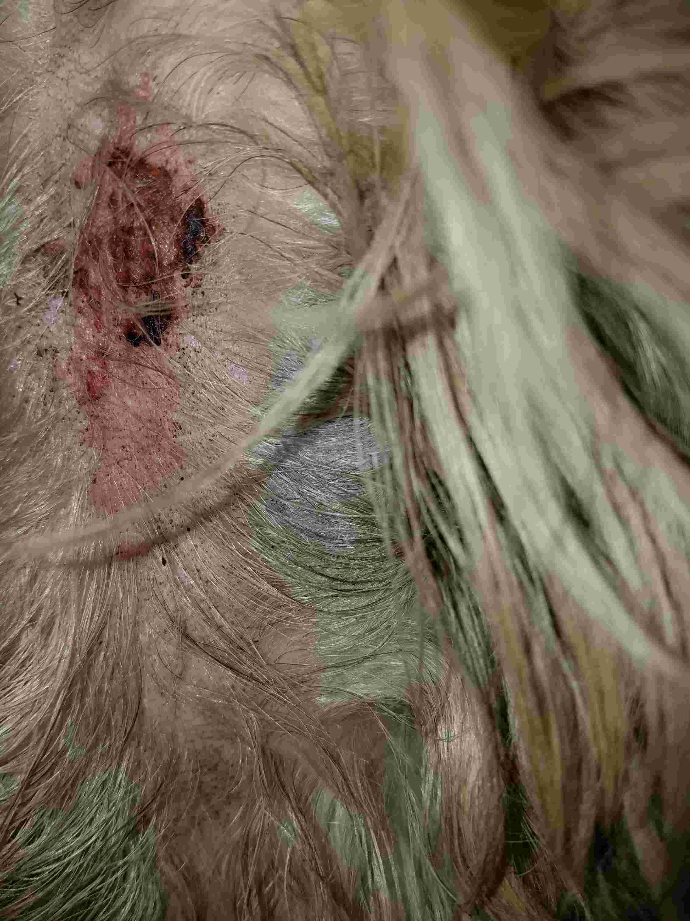 Question details sensitive content