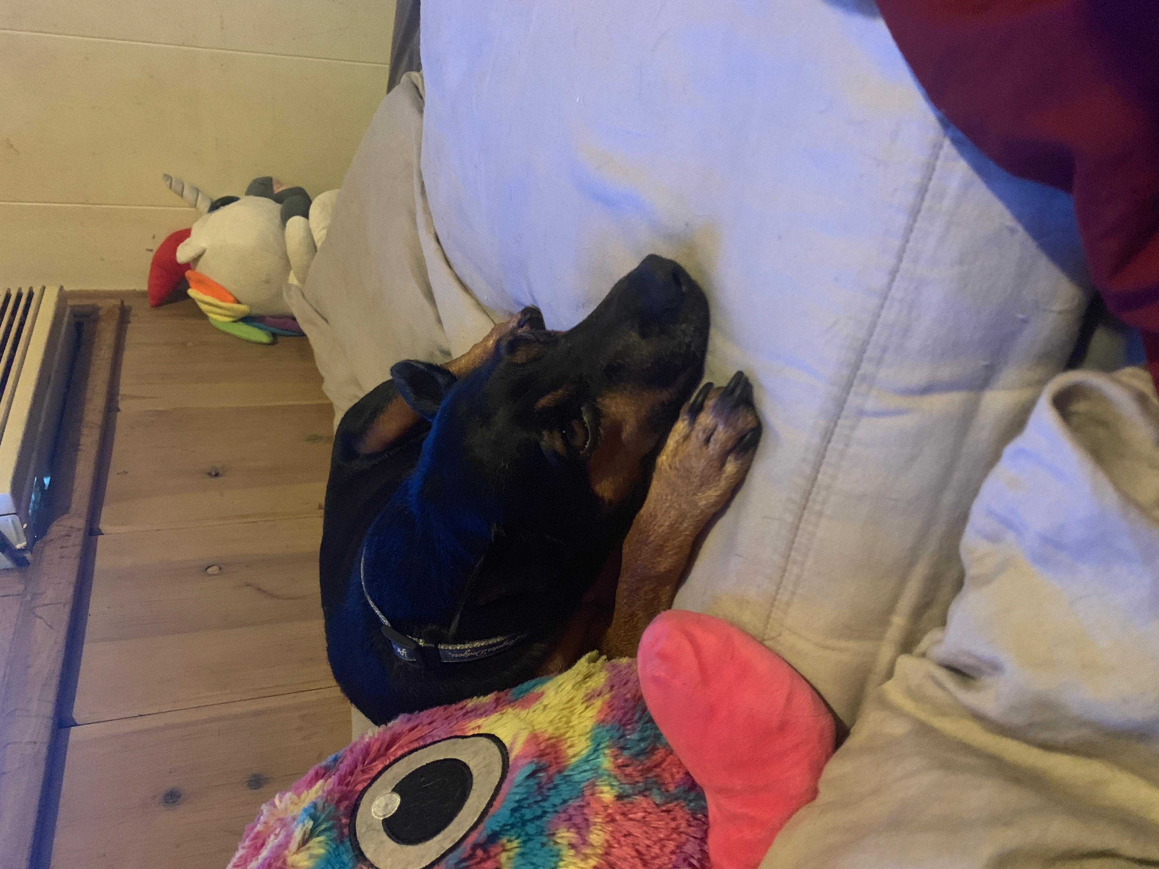 Question details sensitive content