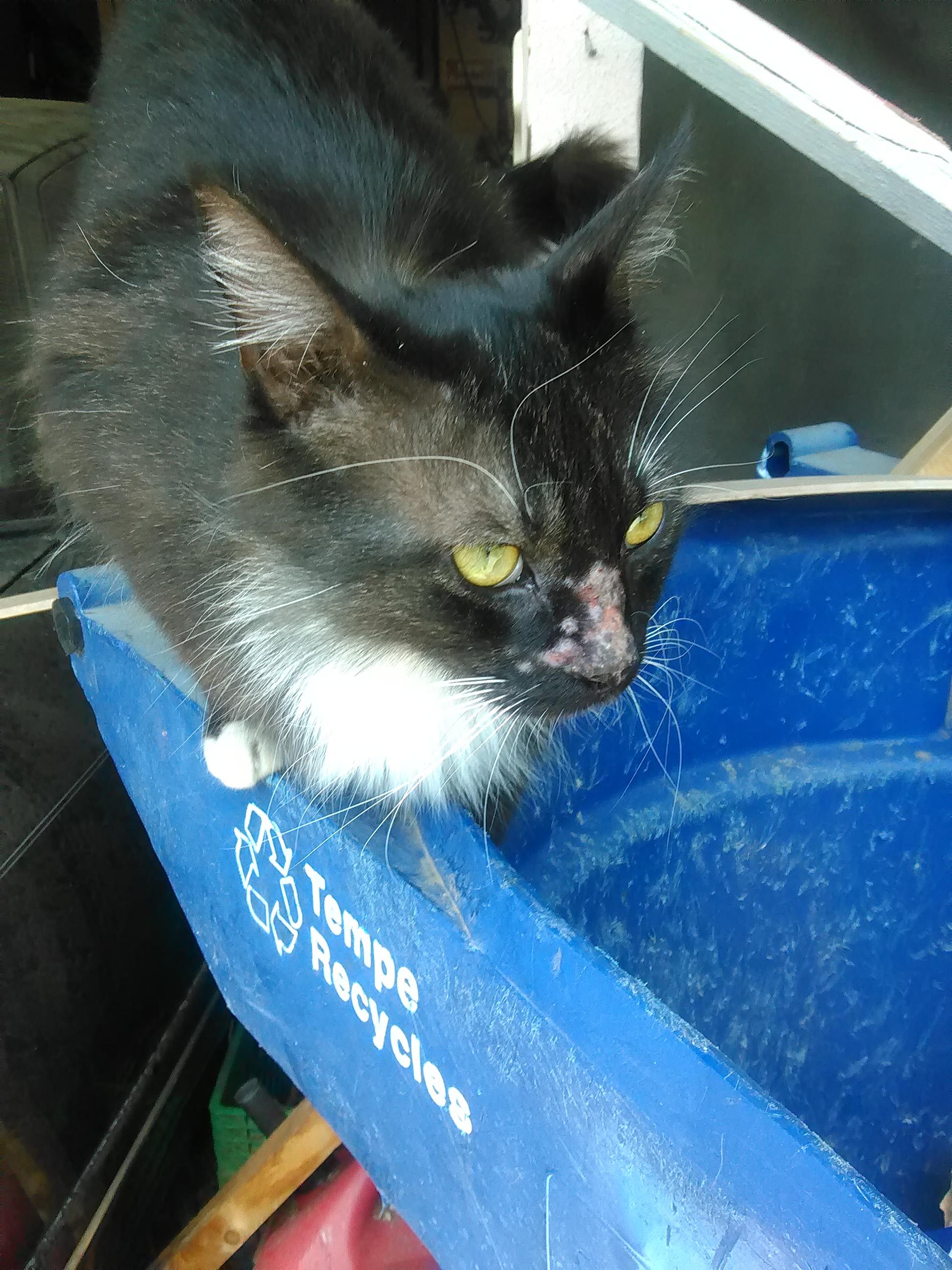 Question details sensitive content